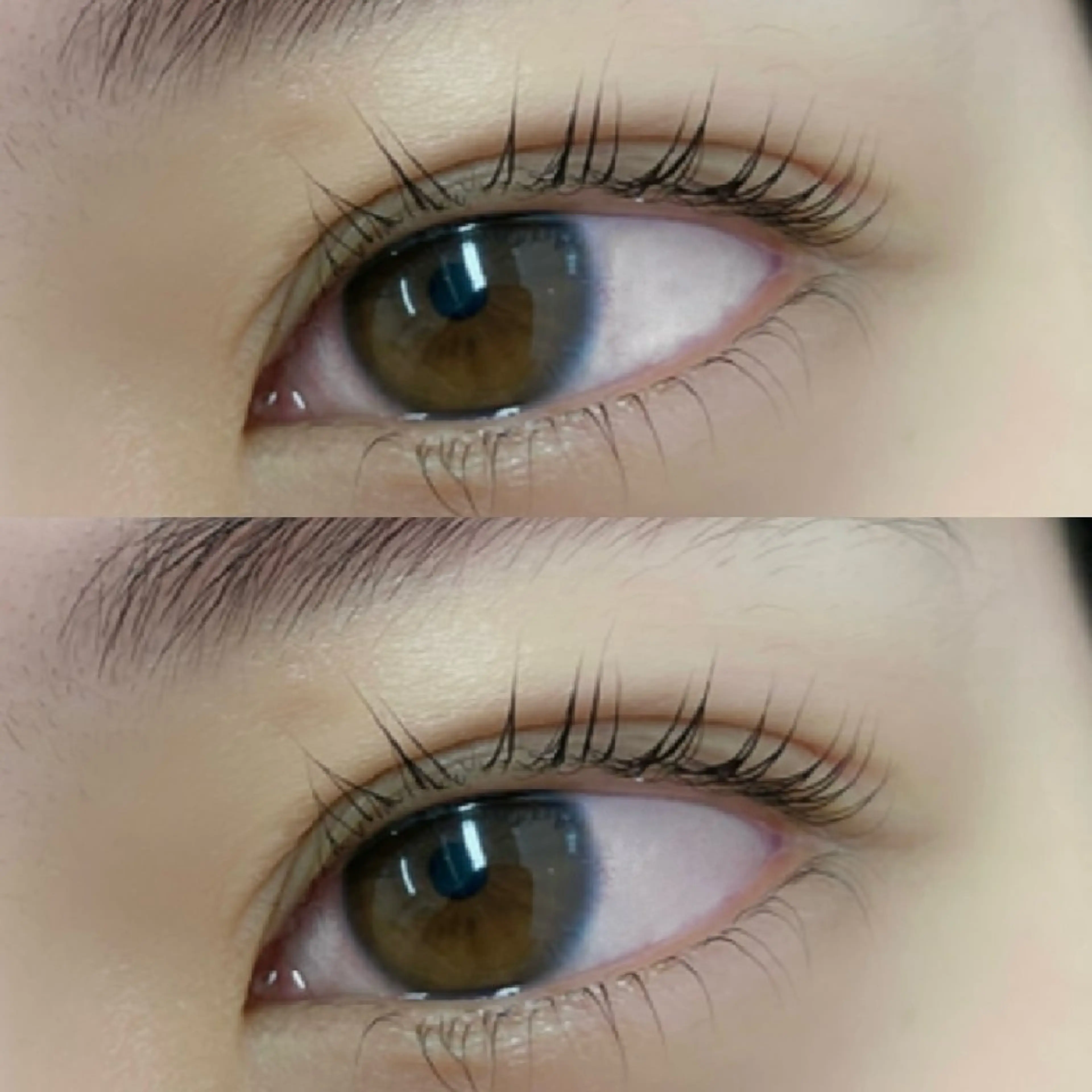 【まつ毛パーマ上下】👀🤎の写真