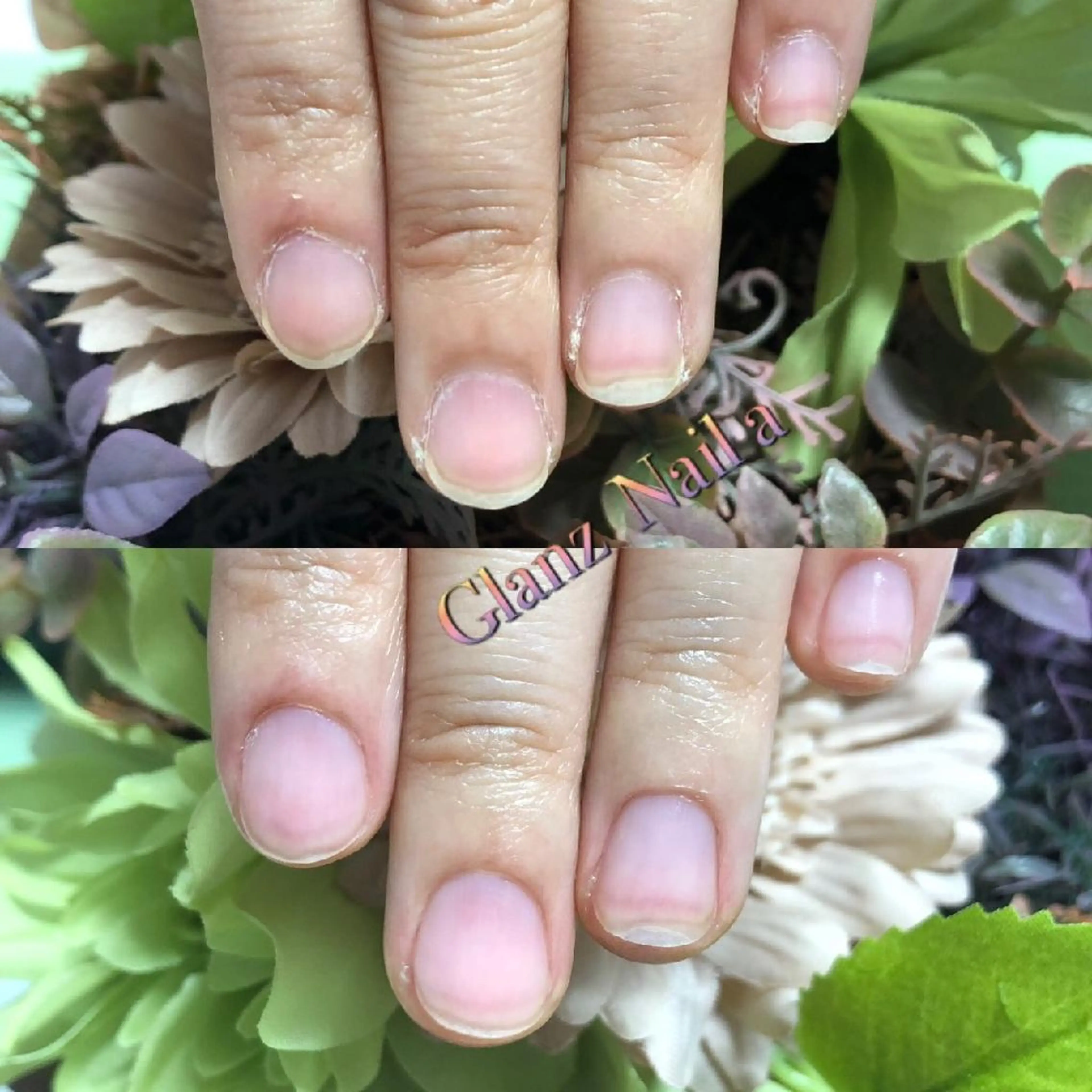 ミニモ限定ハンドケア🌱めにゅー★の写真