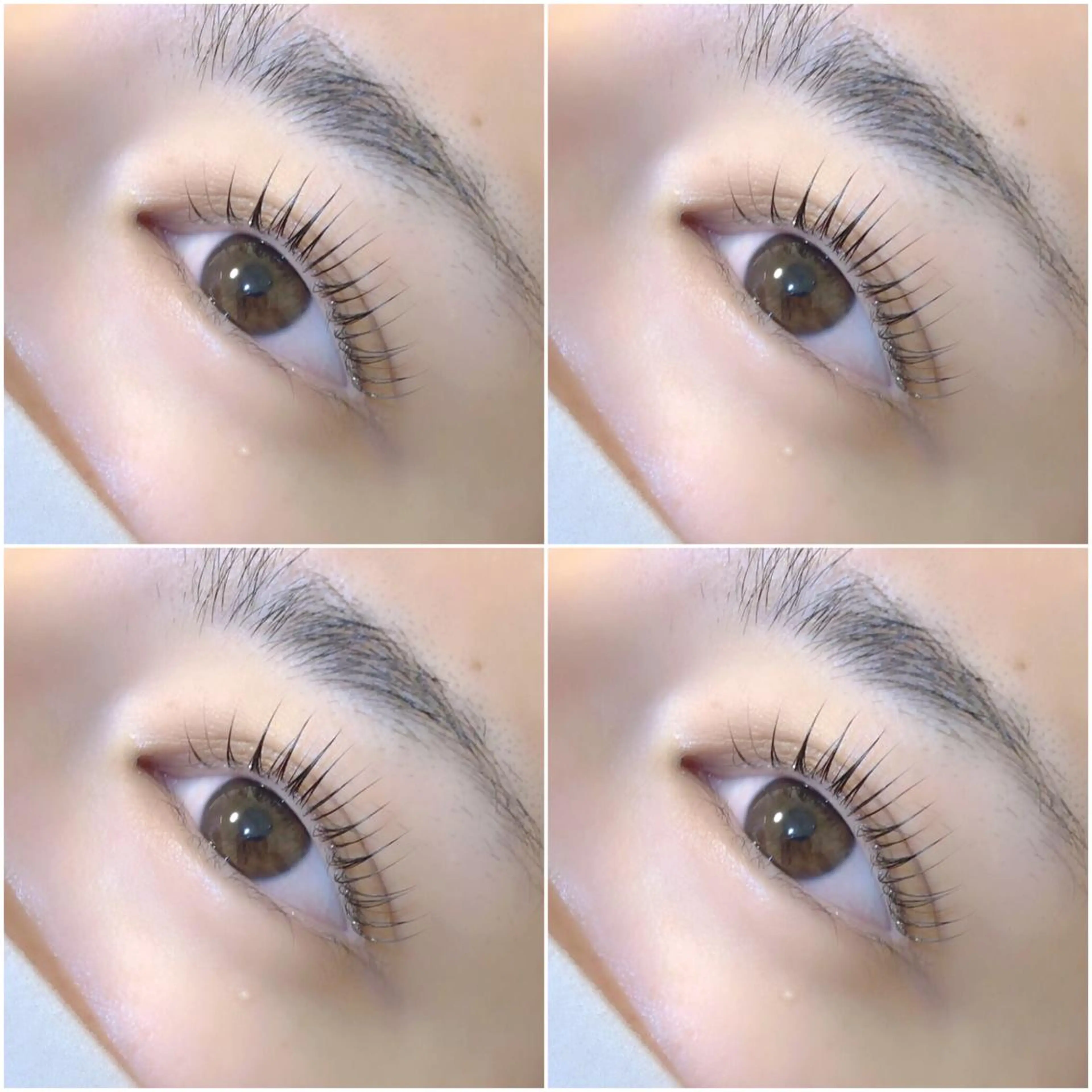 マツエク・マツパ パリジェンヌラッシュリフト 《岐阜市》eye suzukaのマツエク・マツパデザイン