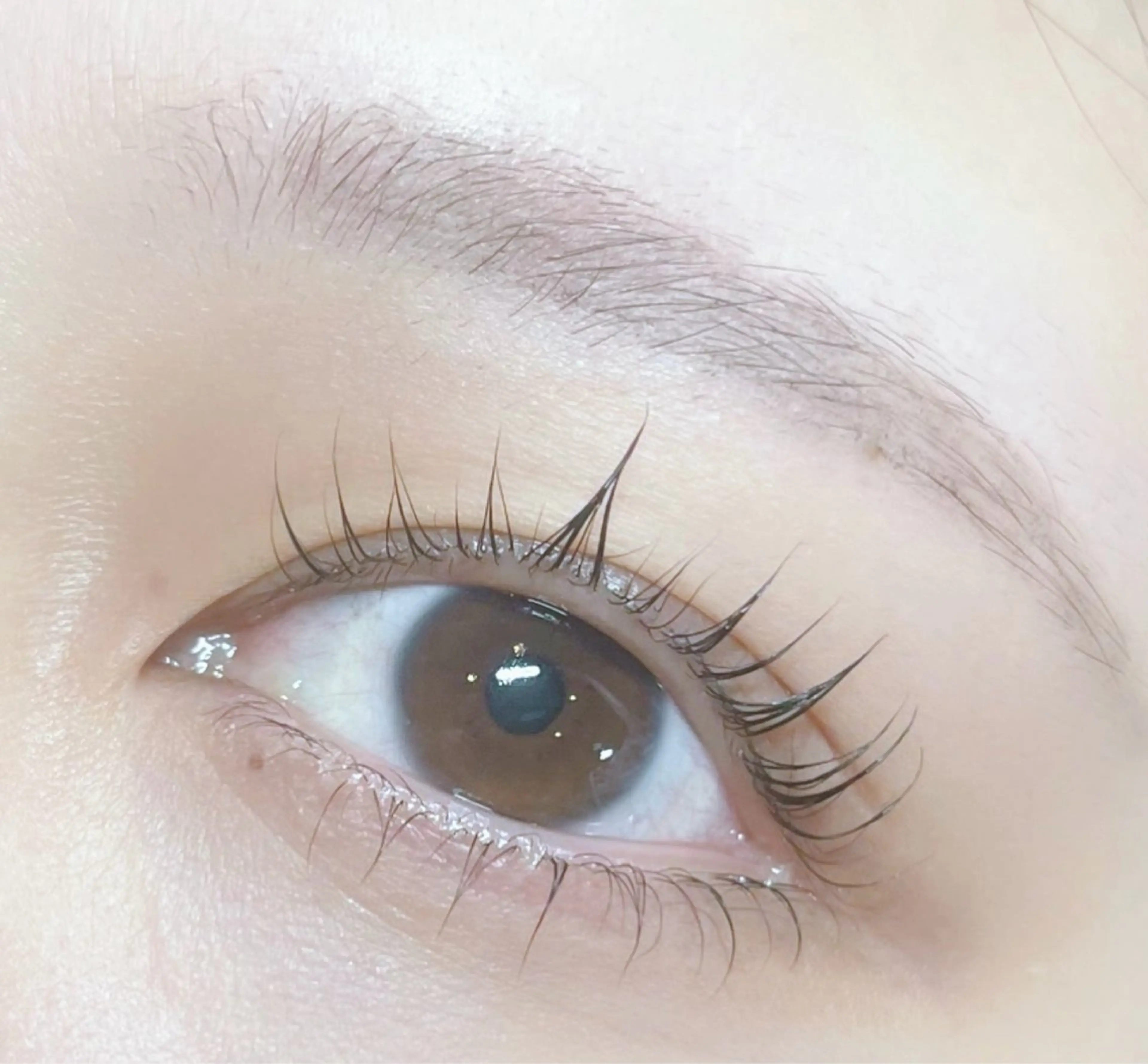 マツエク・マツパ パリジェンヌラッシュリフト まつげパーマ IIJIMA /まつパ/パリ/束感のマツエク・マツパデザイン