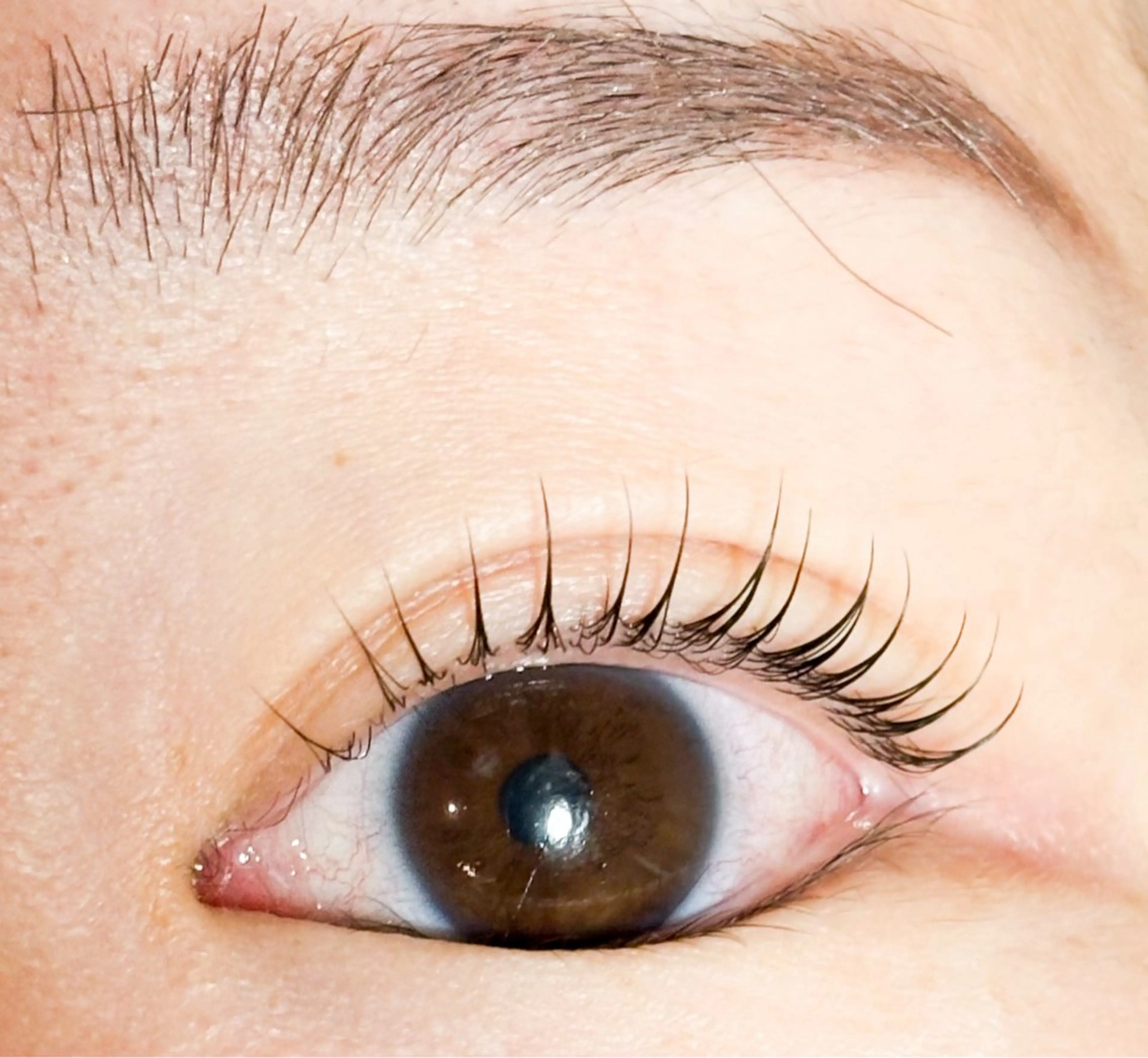 マツエク・マツパ un Lino 西田のマツエク・マツパデザイン