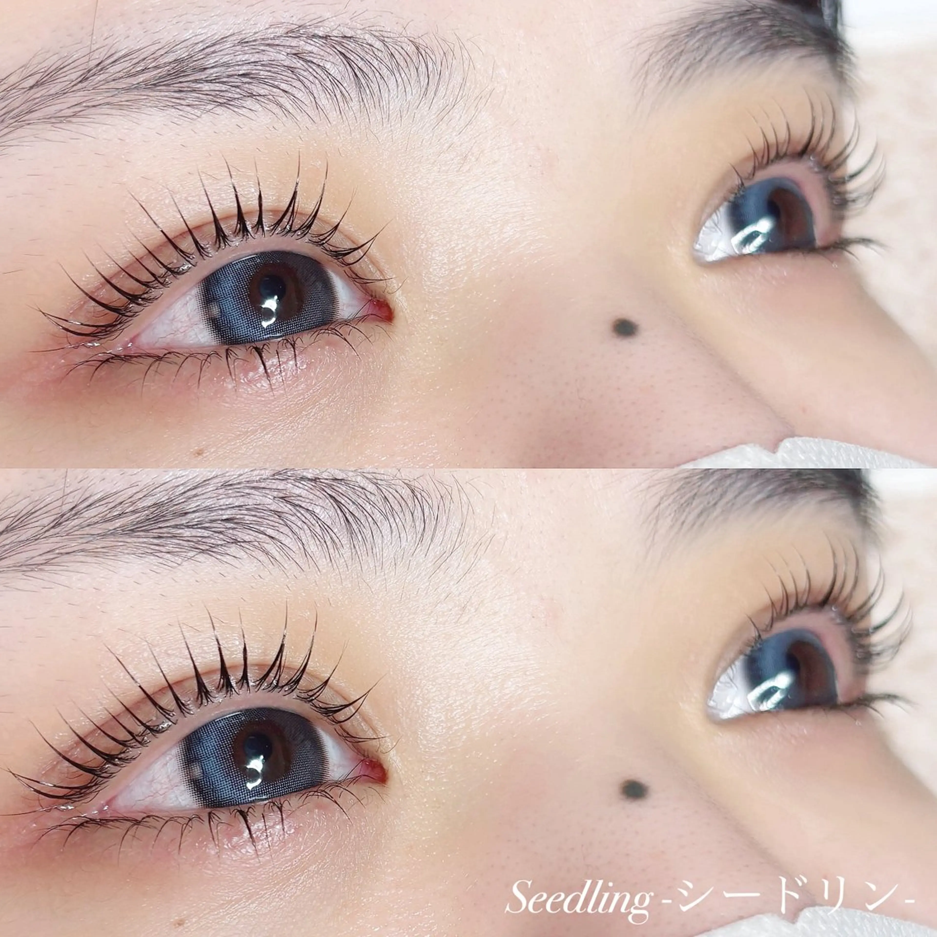 マツエク・マツパ シードリン 府内店 小野梨央のマツエク・マツパデザイン