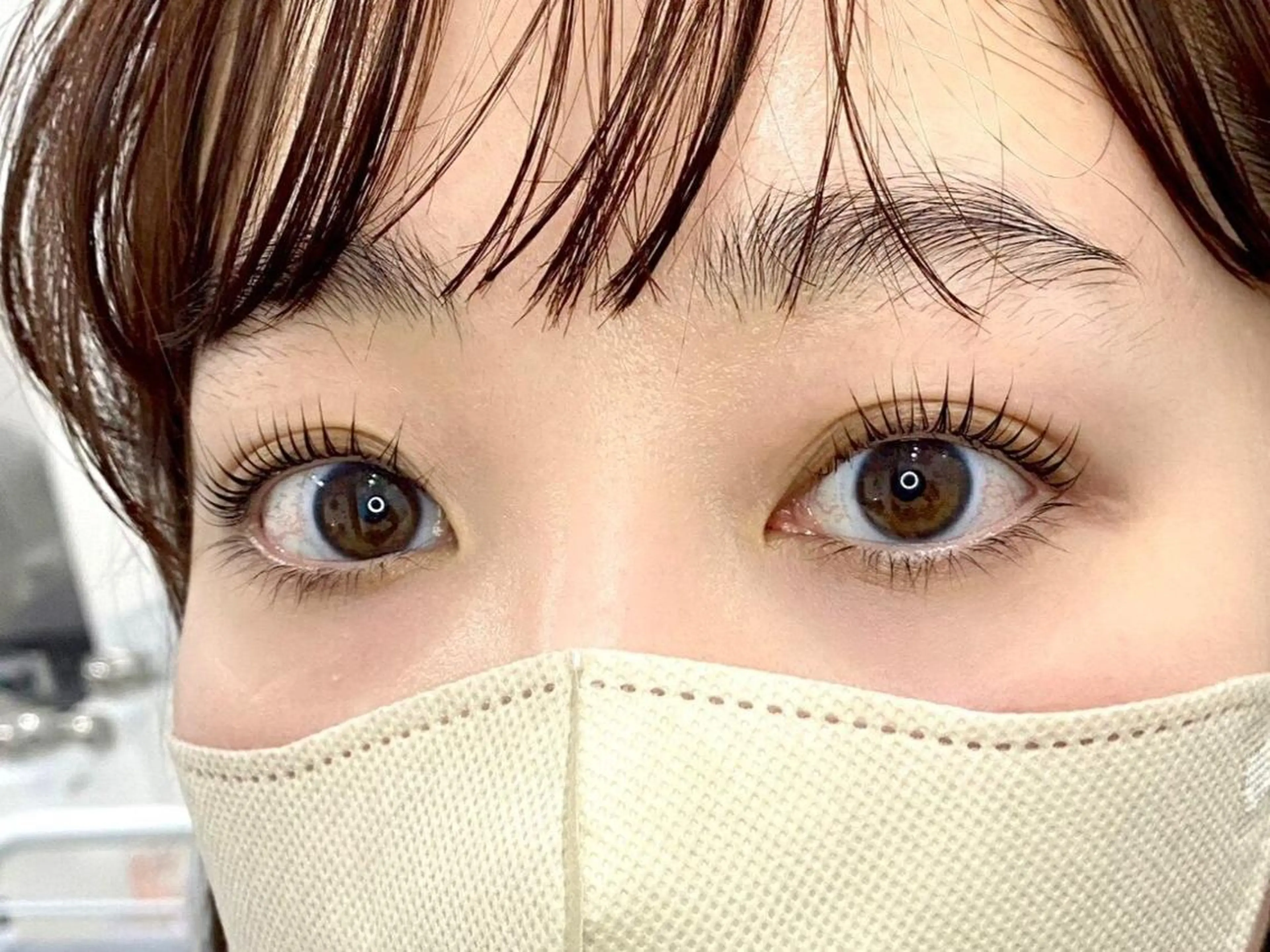 マツエク・マツパ 束感まつ毛 韓国風マツエク パリジェンヌラッシュリフト まつげパーマ 下まつげエクステ DELICAT リサのマツエク・マツパデザイン