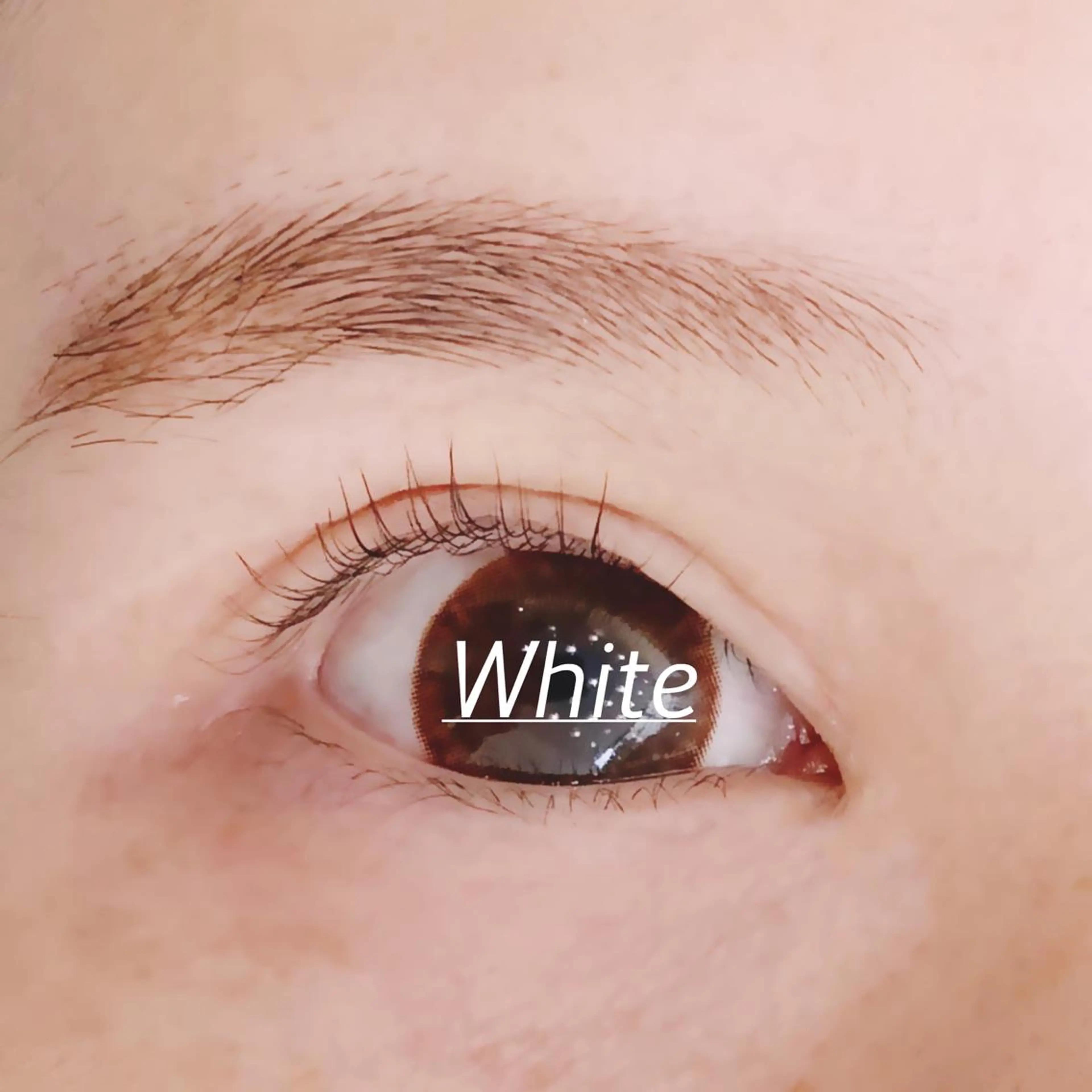 マツエク・マツパ ホワイトアイ HIKARUの眉毛・アイブロウイメージ