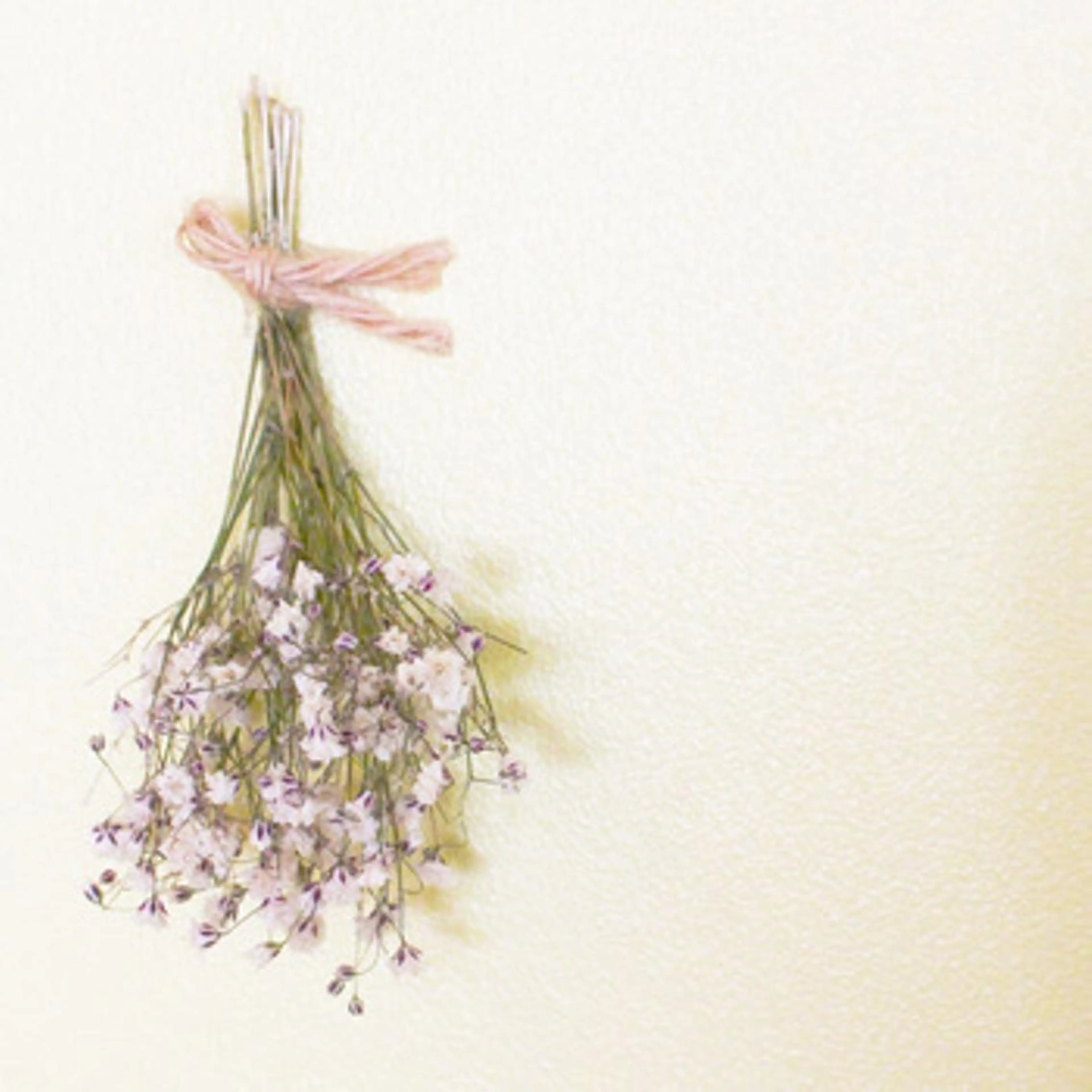 💎耳ツボジュエリー ×銀座美容室💎のヘアスタイル