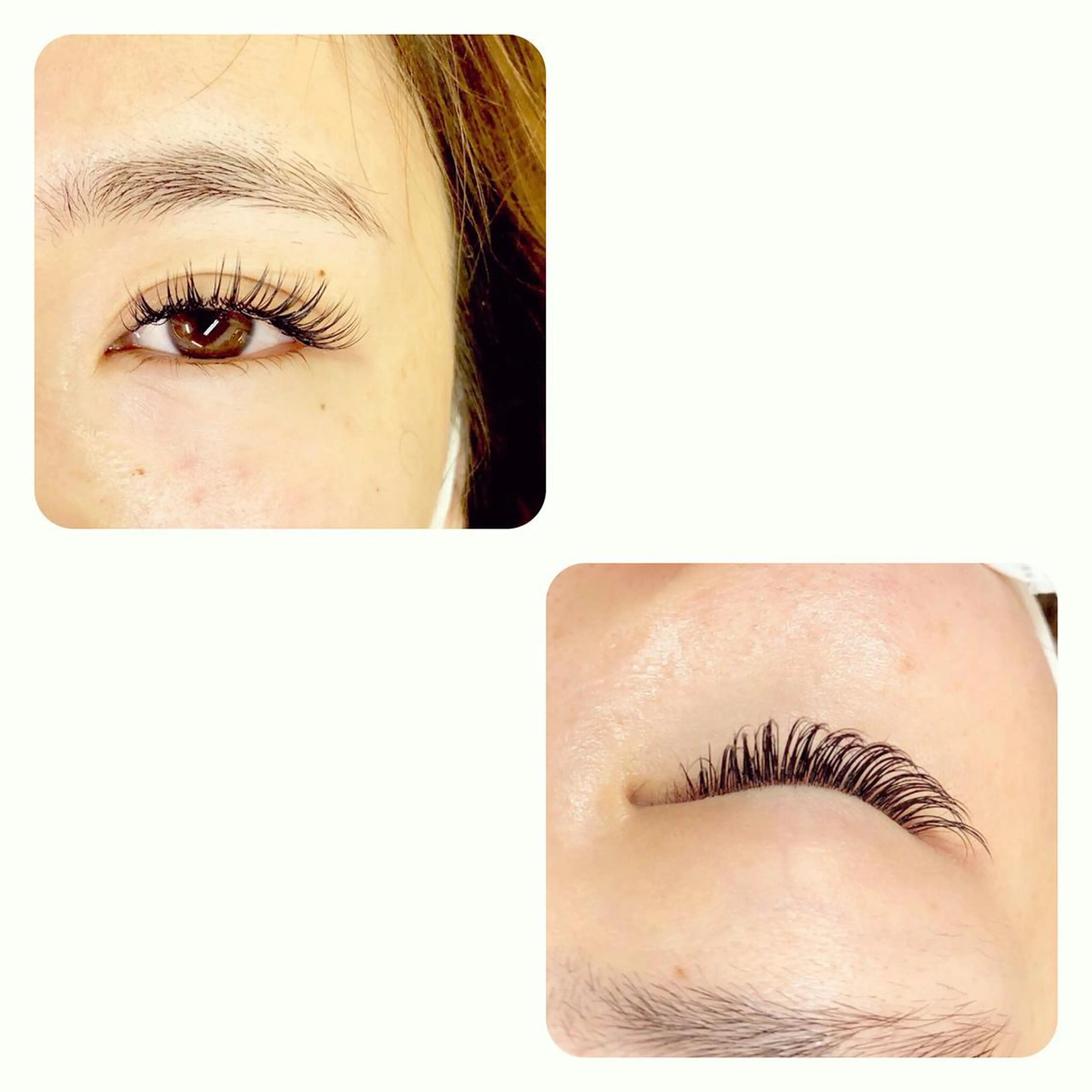 マツエク・マツパ Cカール Dカール ikeda midoriのマツエク・マツパデザイン