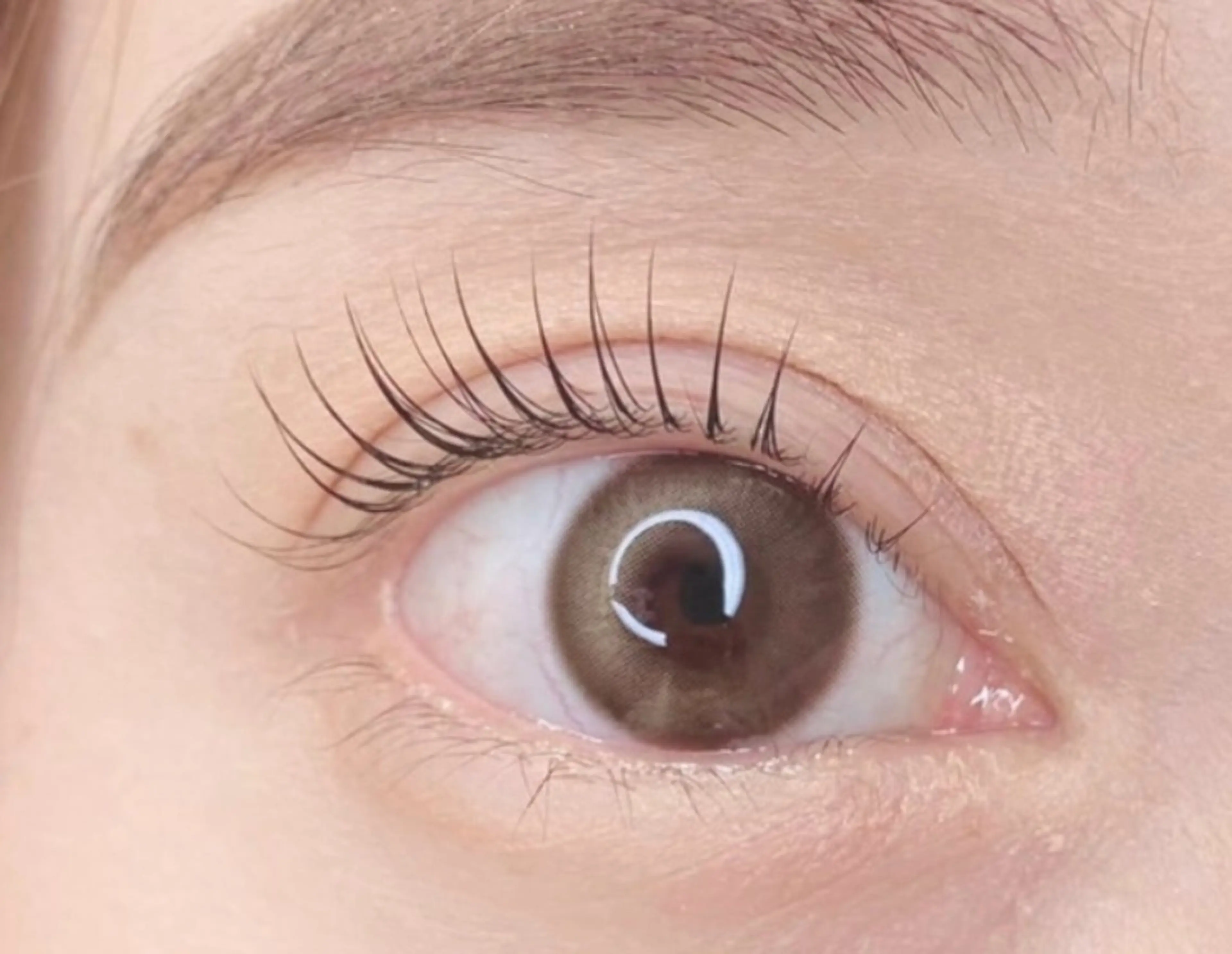 期間限定❣️まつ毛パーマ(ラッシュリフト)無料モデル募集の写真