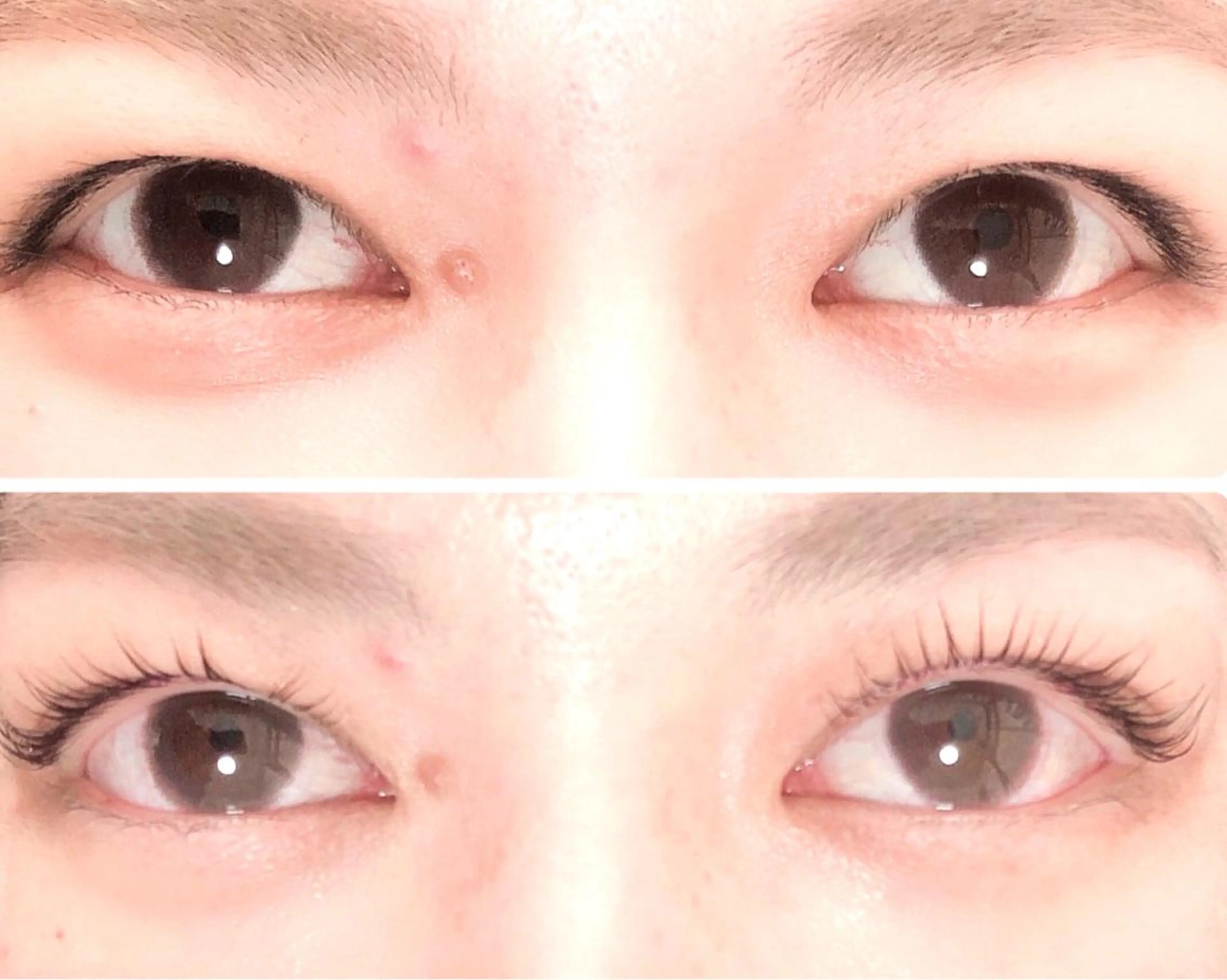 マツエク・マツパ ビューティーサロン ココラのマツエク・マツパデザイン