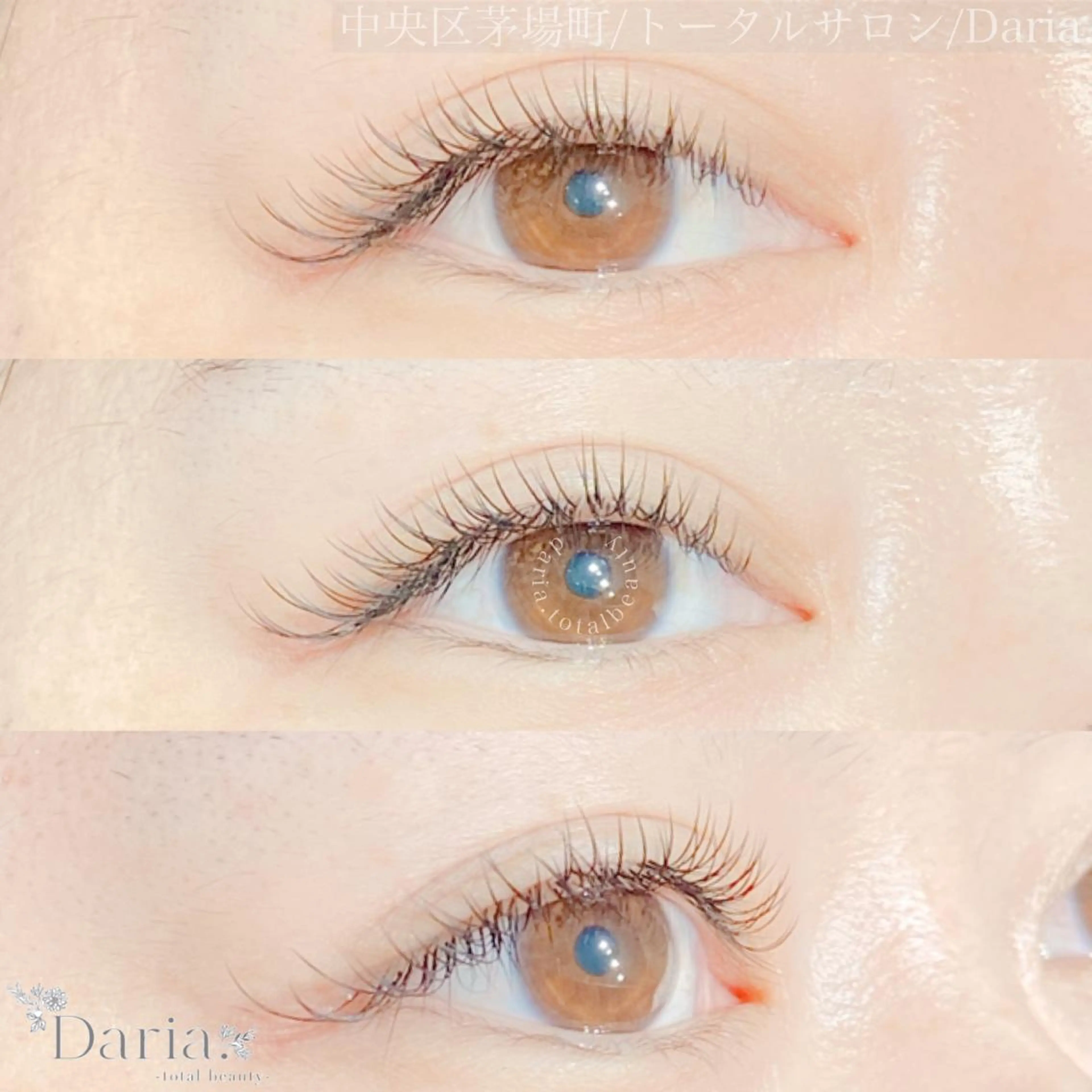 【平日限定】✨フラットラッシュ100本　￥2200の写真