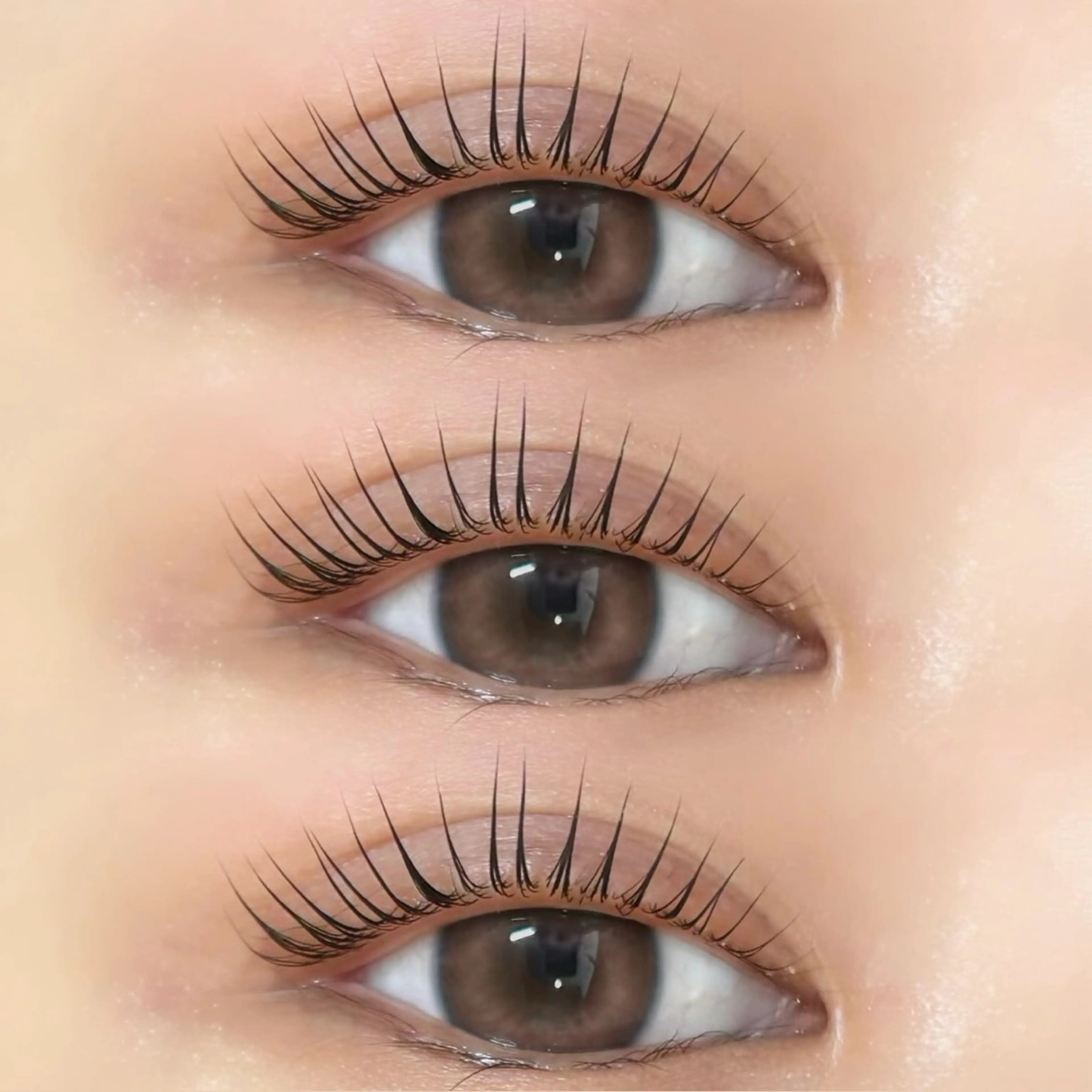 マツエク・マツパ マツパ 束感/LED/まつパ 🌼segawaのマツエク・マツパデザイン