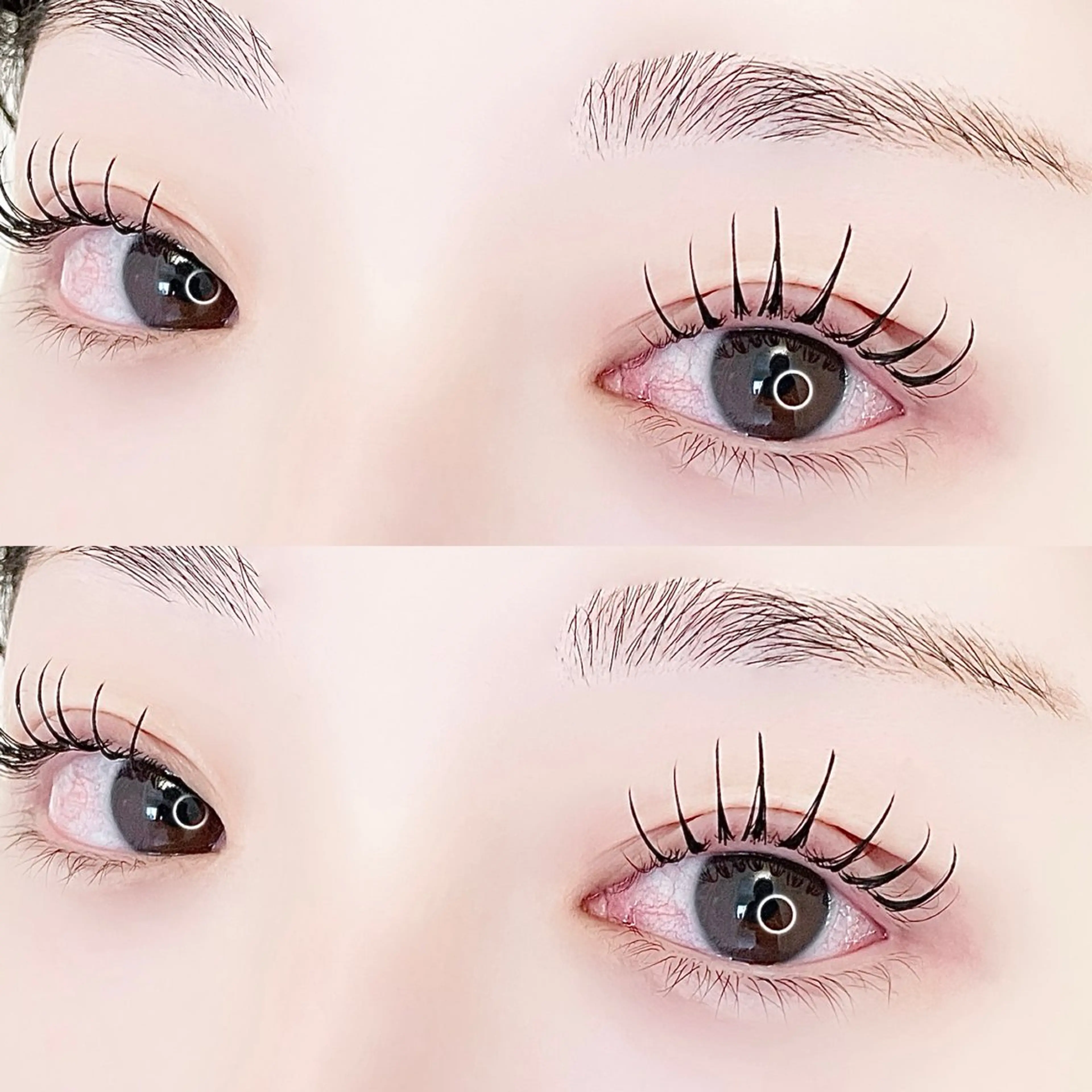 【新規】韓国風パリエク80​〜​100本（アイシャンプー、コーティング付き）の写真