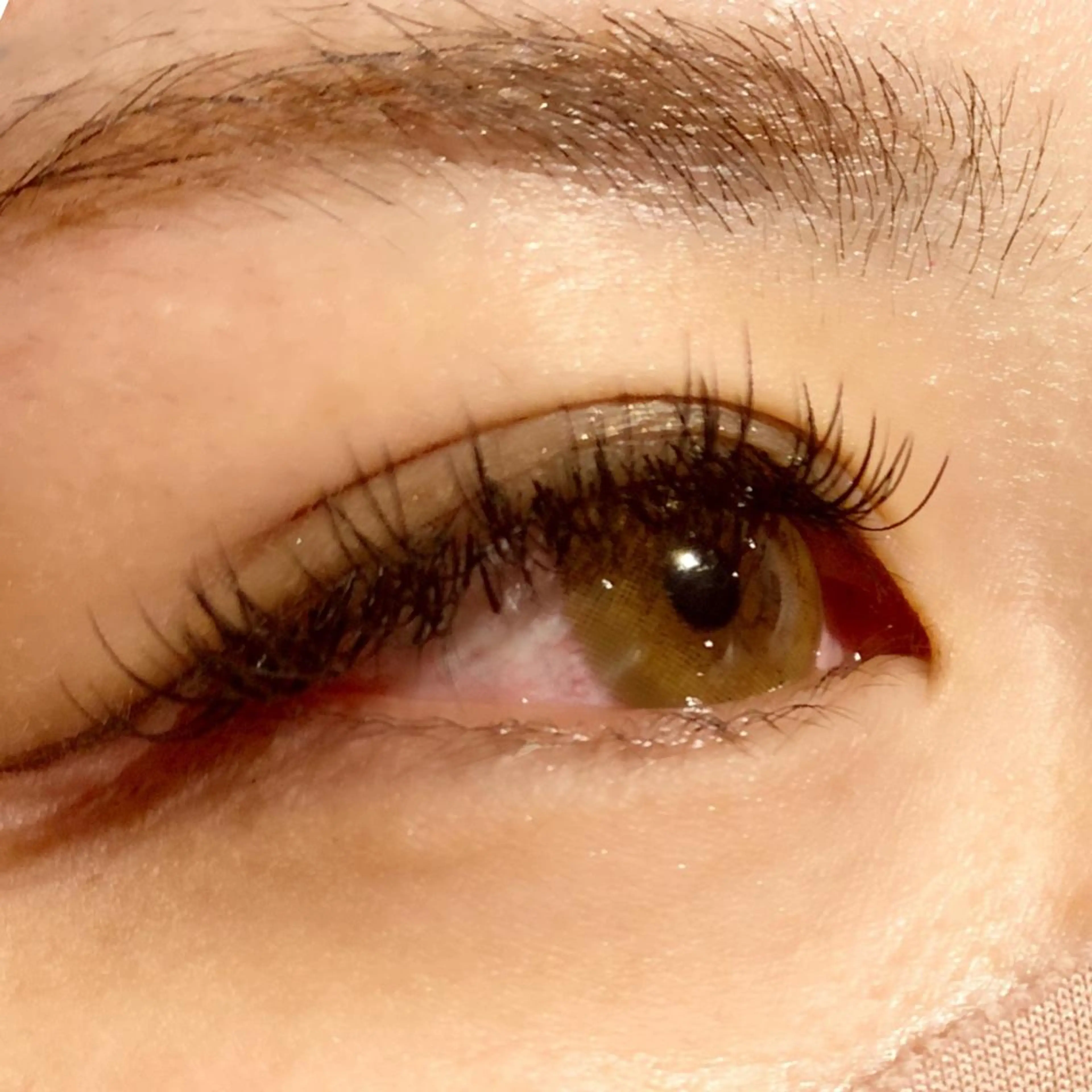 《フラットラッシュ》濃さを出したい方にオススメ‼️高級カシミヤセーブル100本💗コーティング付き✨の写真