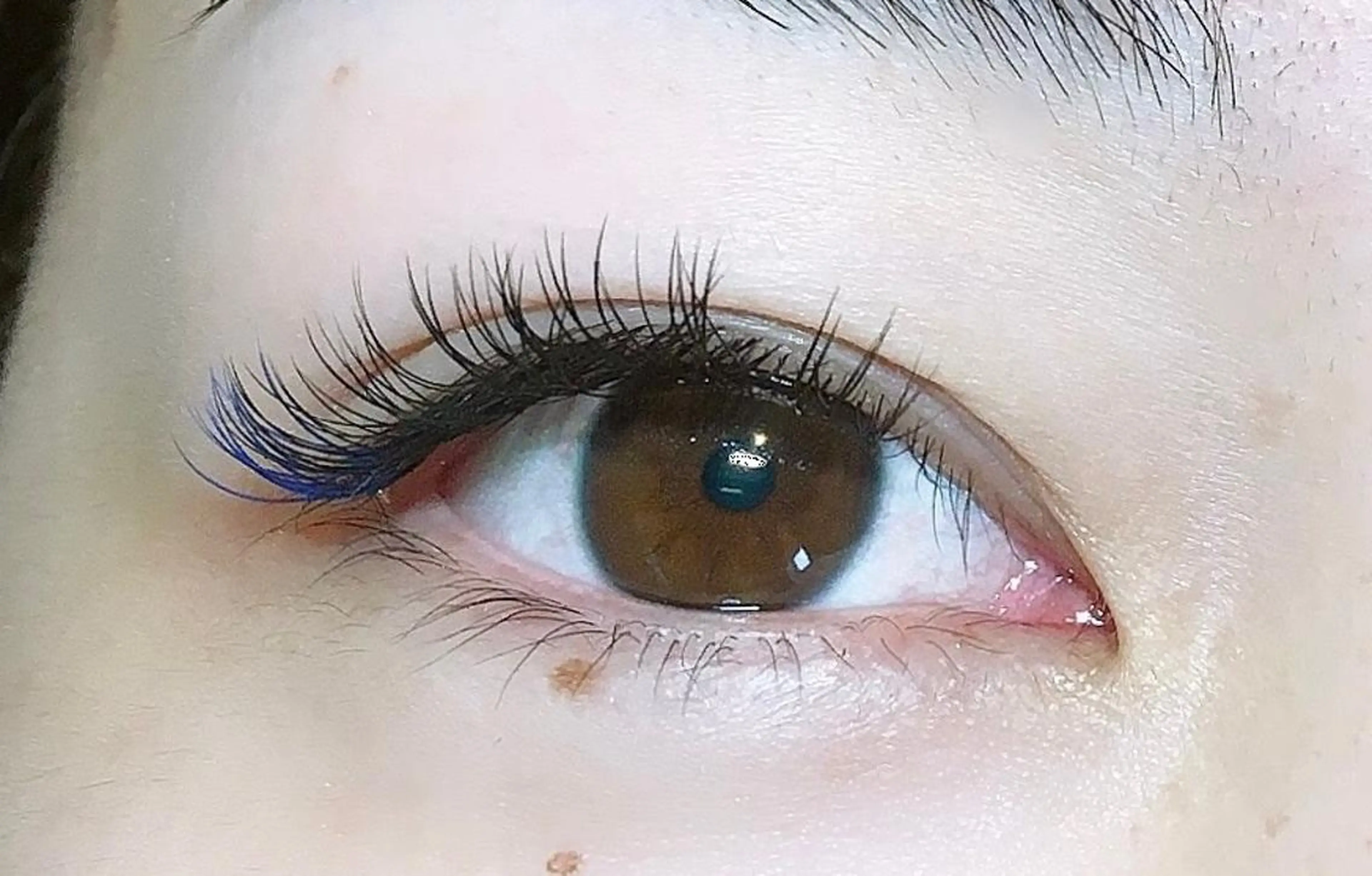 マツエク・マツパ マツエク Rina Ciaoのマツエク・マツパデザイン