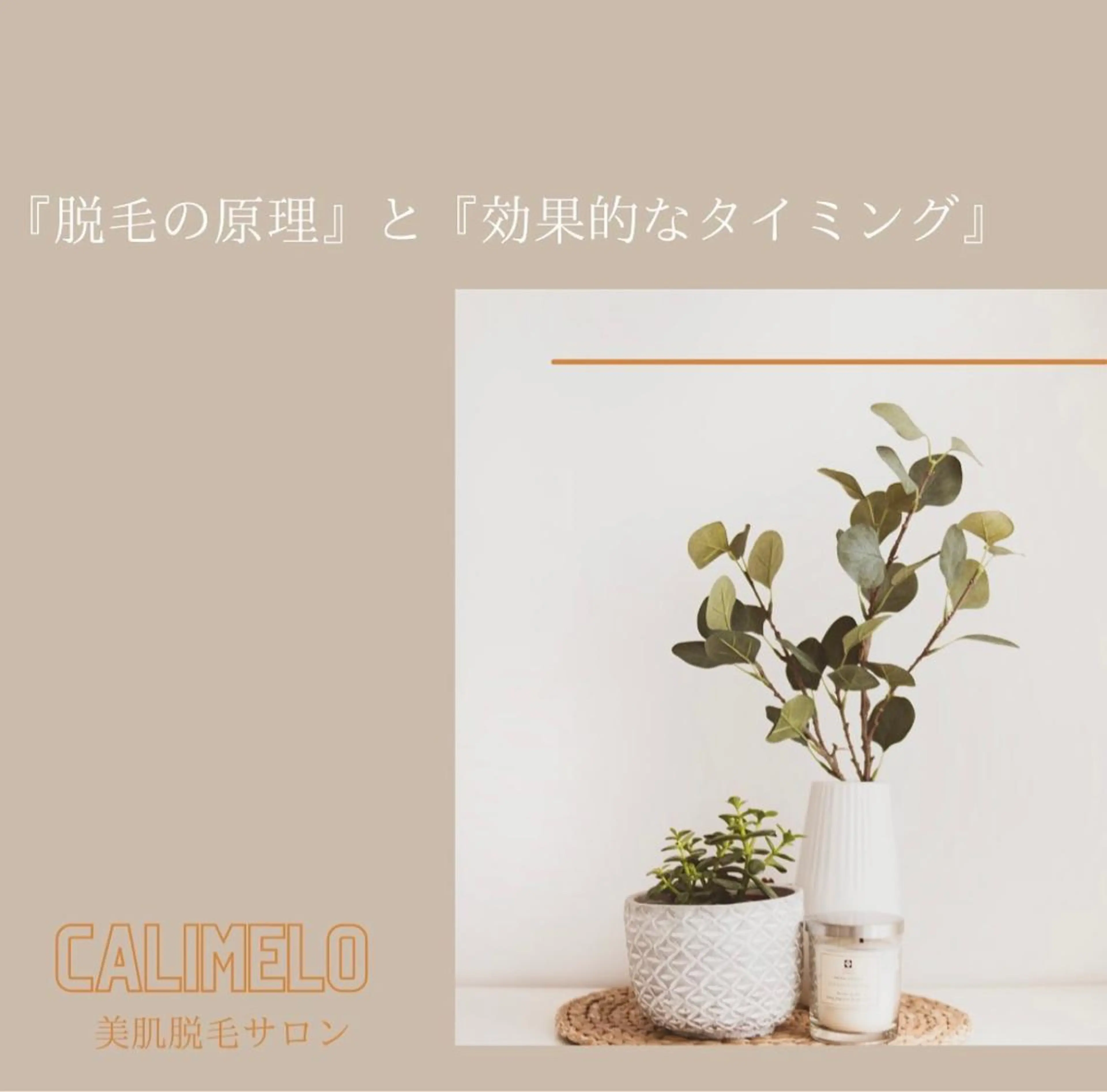 calimero 美肌脱毛サロンの眉毛・アイブロウイメージ