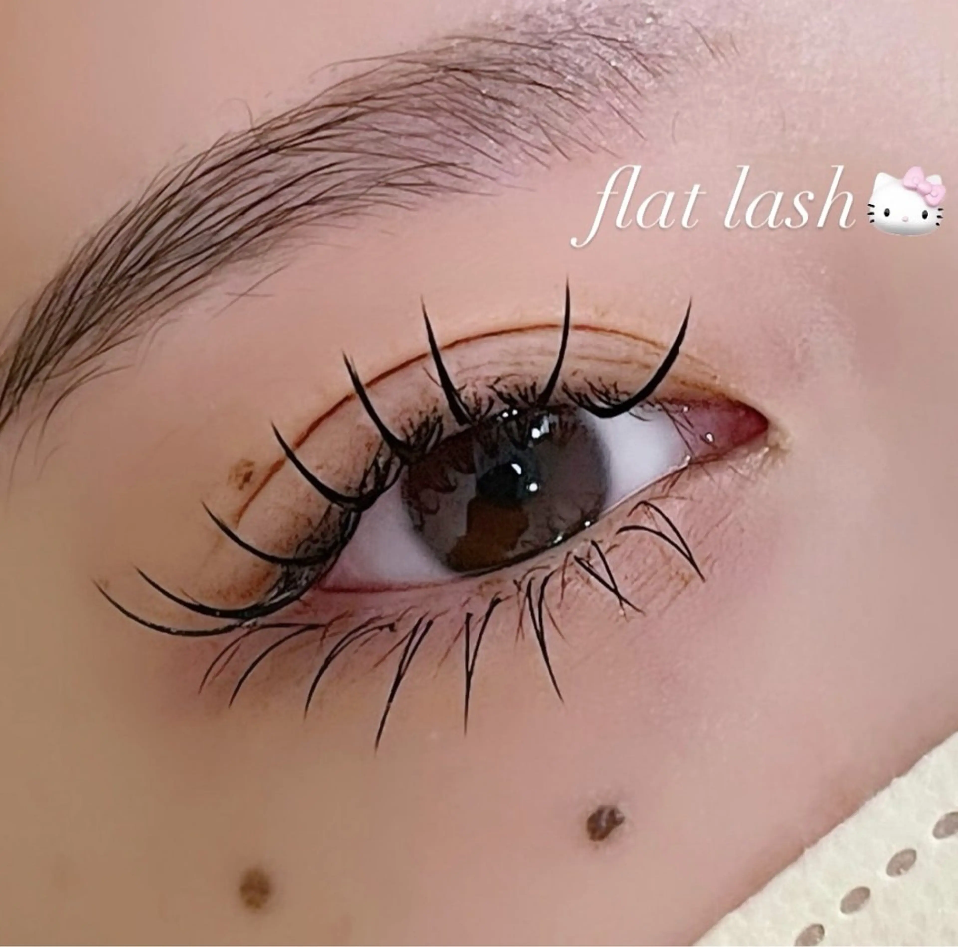 【ミニモ限定】下まつ毛エクステ（30本or30束）の写真