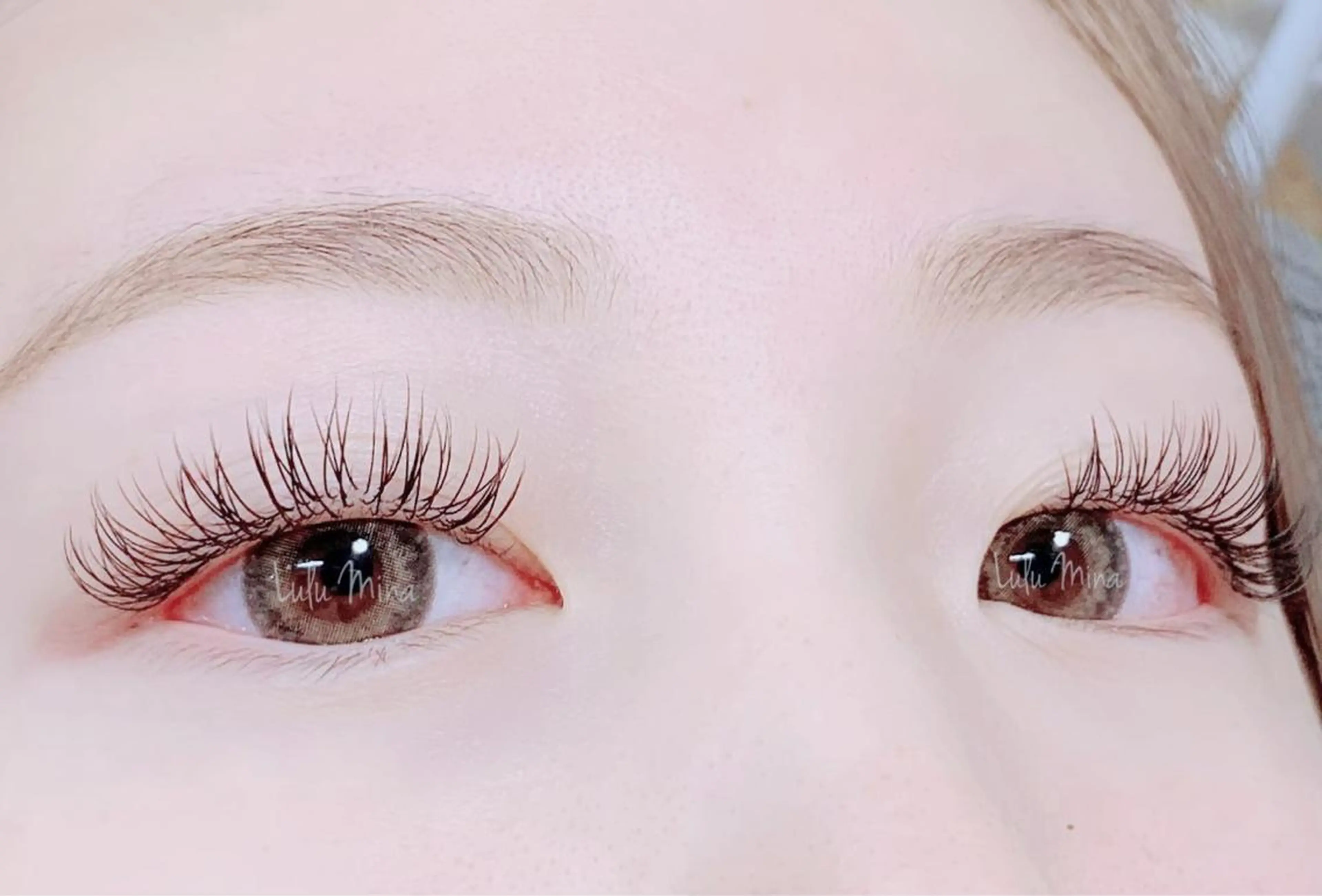 無料☆セーブル上マツエク100本の写真