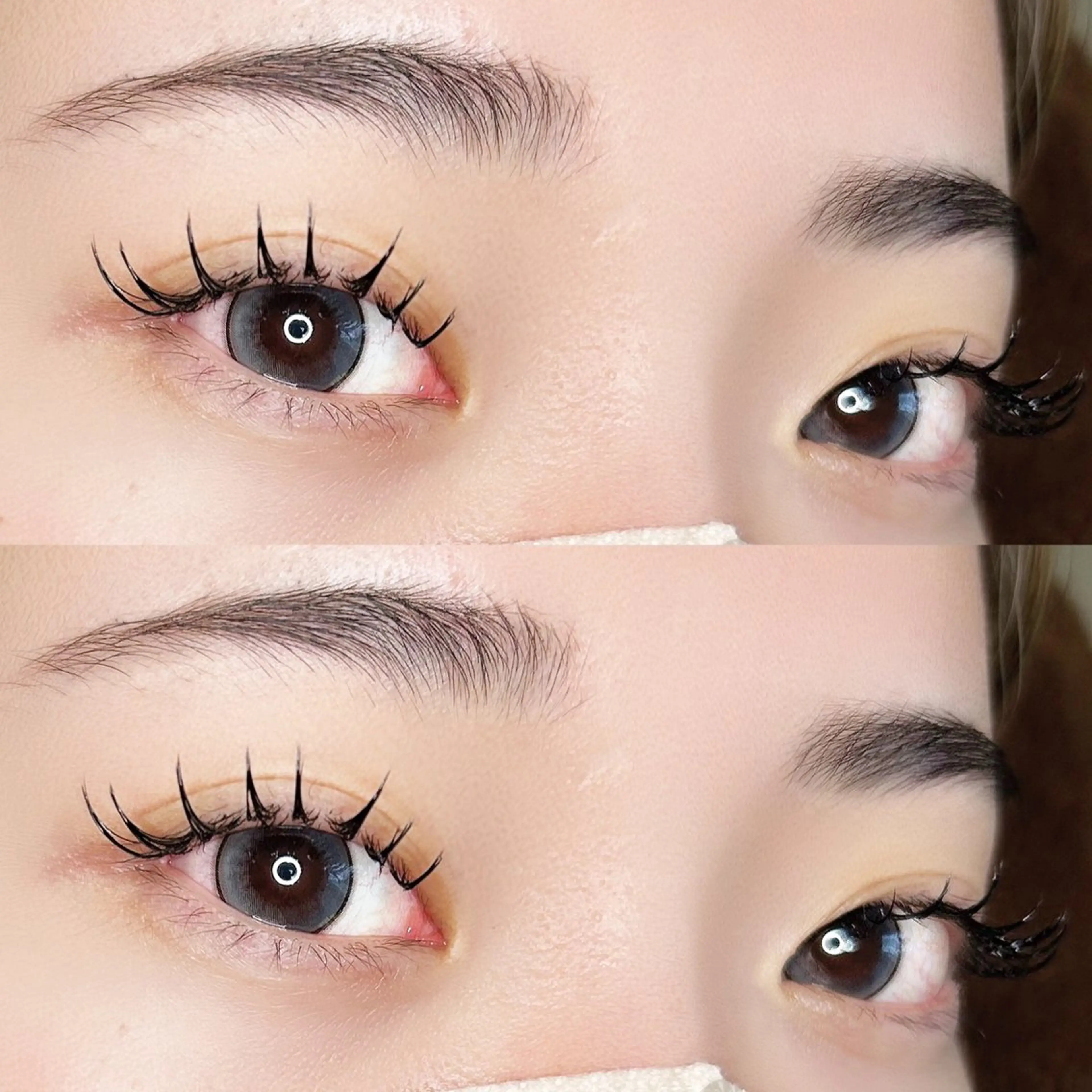 【韓国風まつ毛🇰🇷】まつ毛パーマ＋美容液コーティング🦋🖤の写真