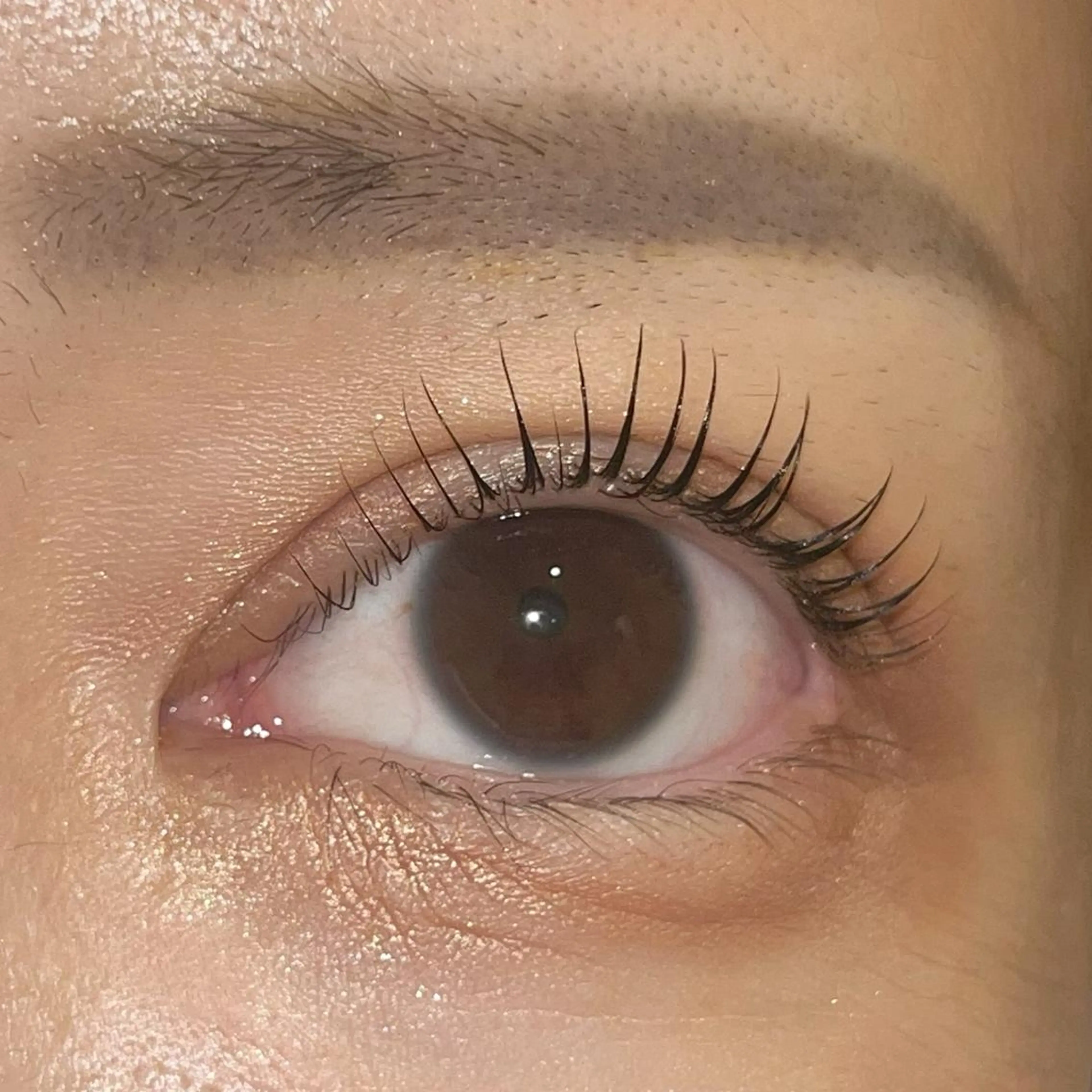 マツエク・マツパ パリジェンヌラッシュリフト まつげパーマ ai一重専門🎀束感 まつげ🫧表参道のマツエク・マツパデザイン