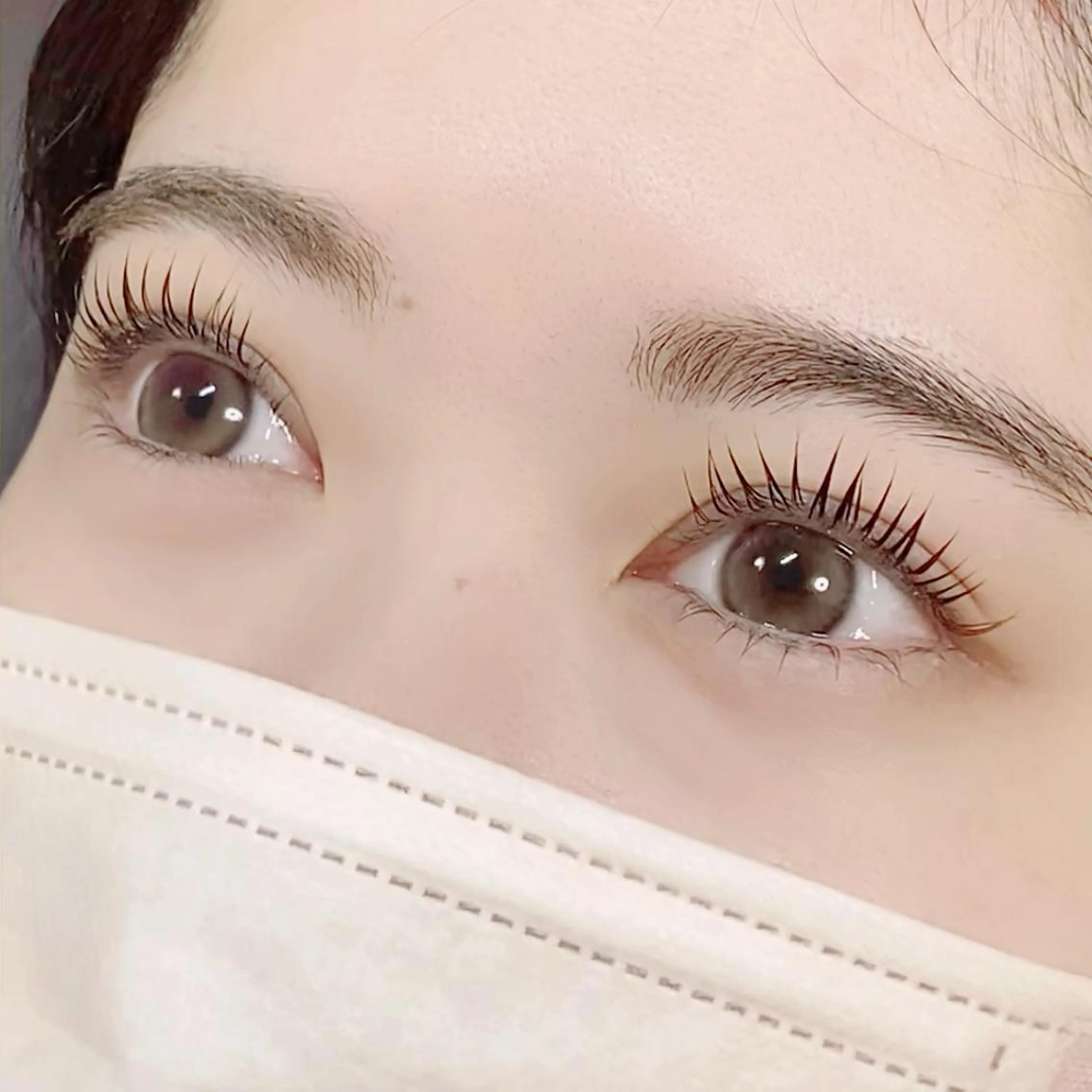 ケラチンラッシュリフト上下✴︎minimo特別価格の写真