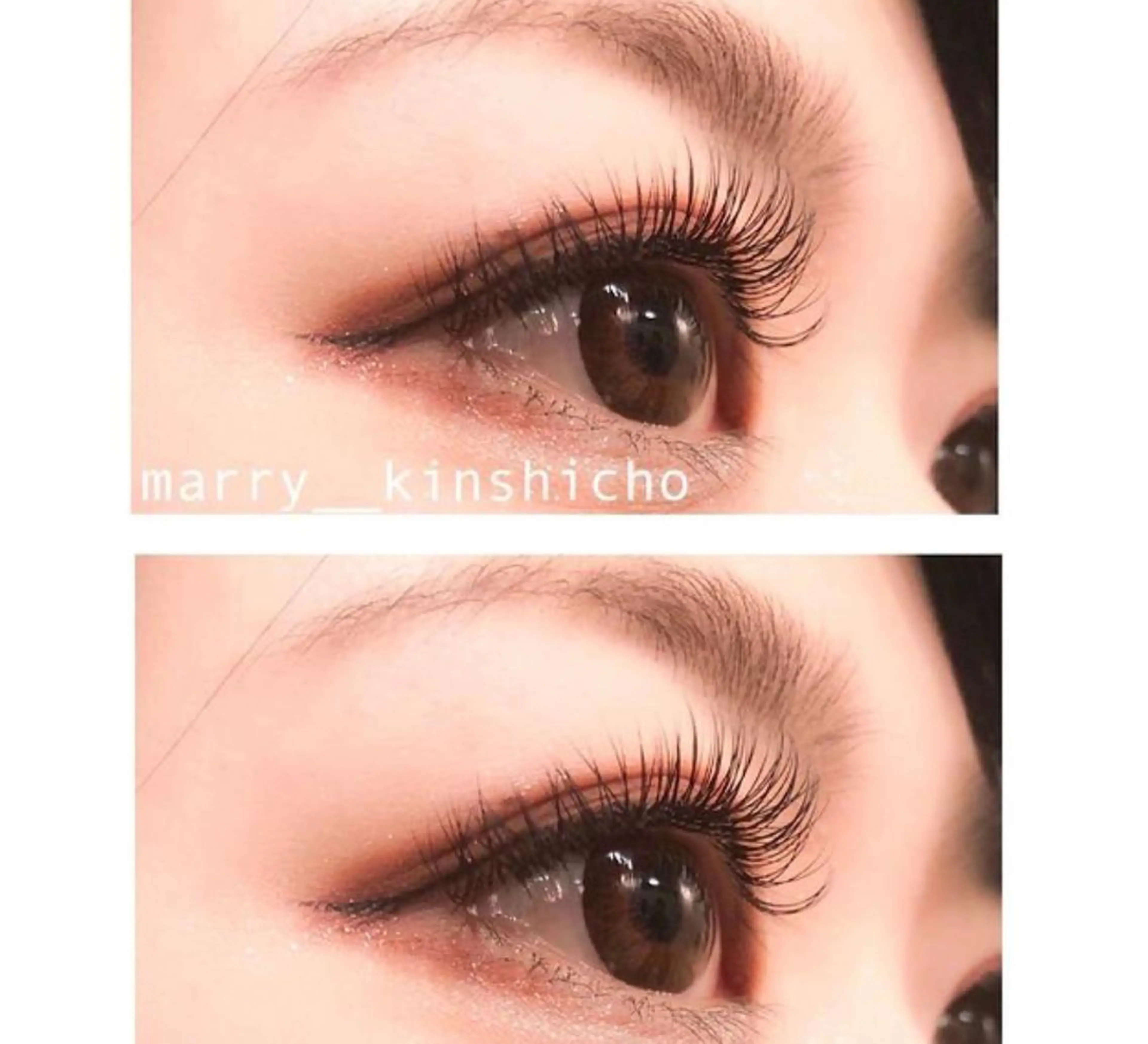 最高級セーブル130本の写真