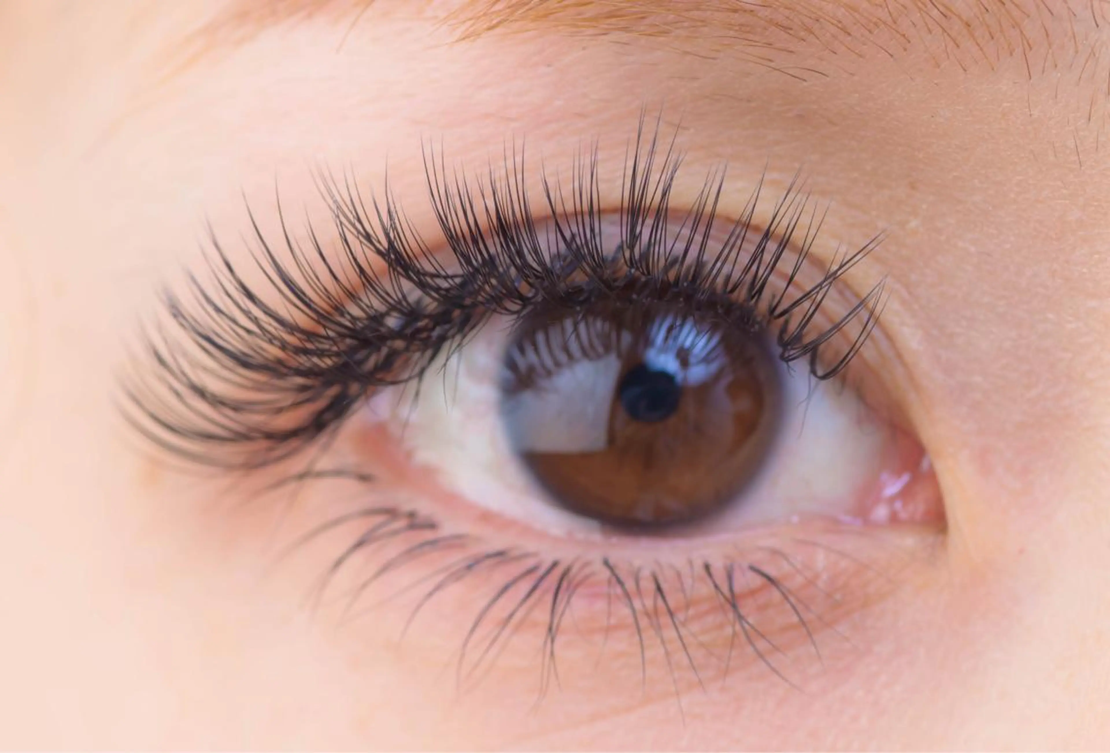 マツエク・マツパ ボリュームラッシュ アイサロン フェア 川崎店のマツエク・マツパデザイン