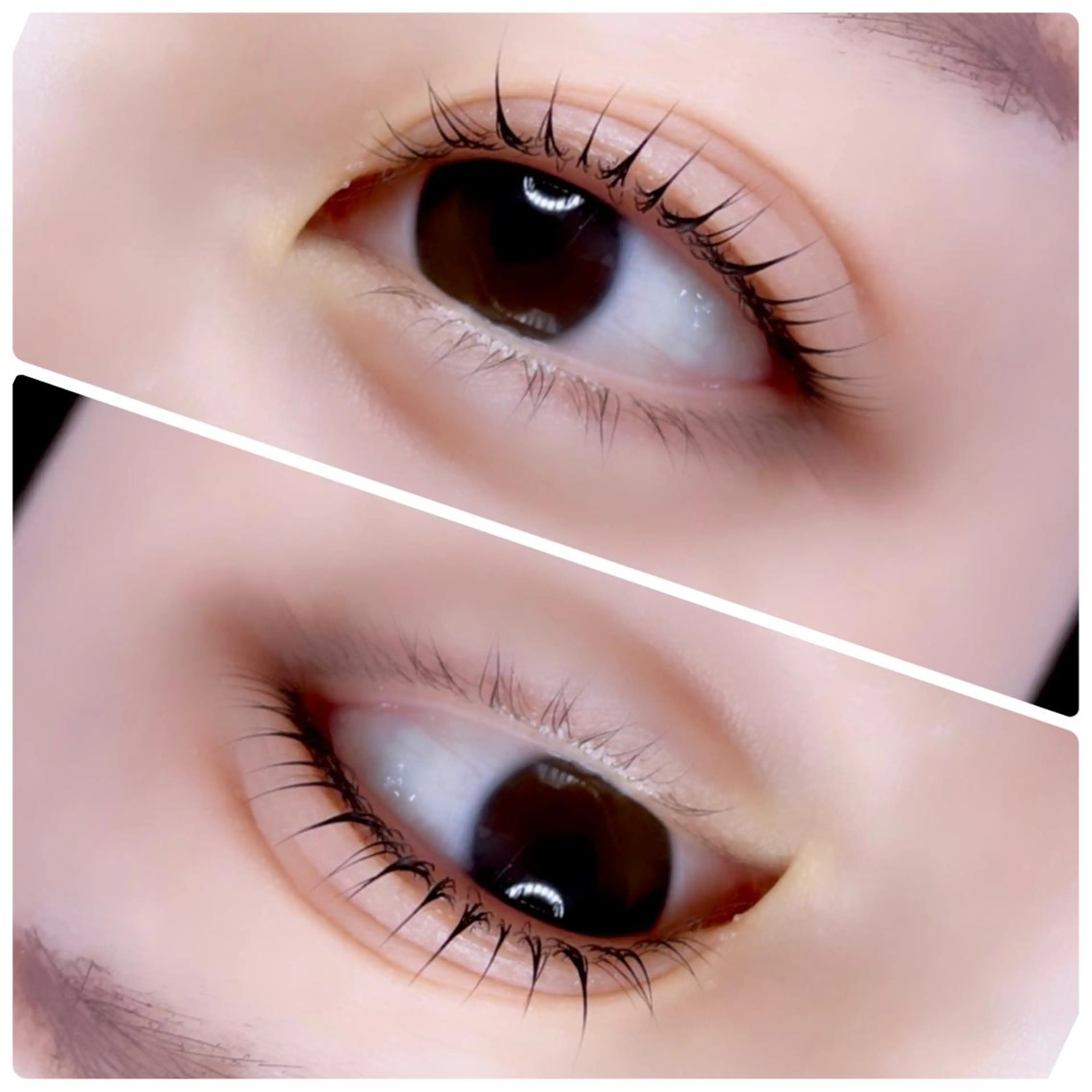 マツエク・マツパ 韓国風マツエク パリジェンヌラッシュリフト まつげパーマ 一重×まつ毛パーマ ワンホンマツエク erica💐 ma'amのマツエク・マツパデザイン