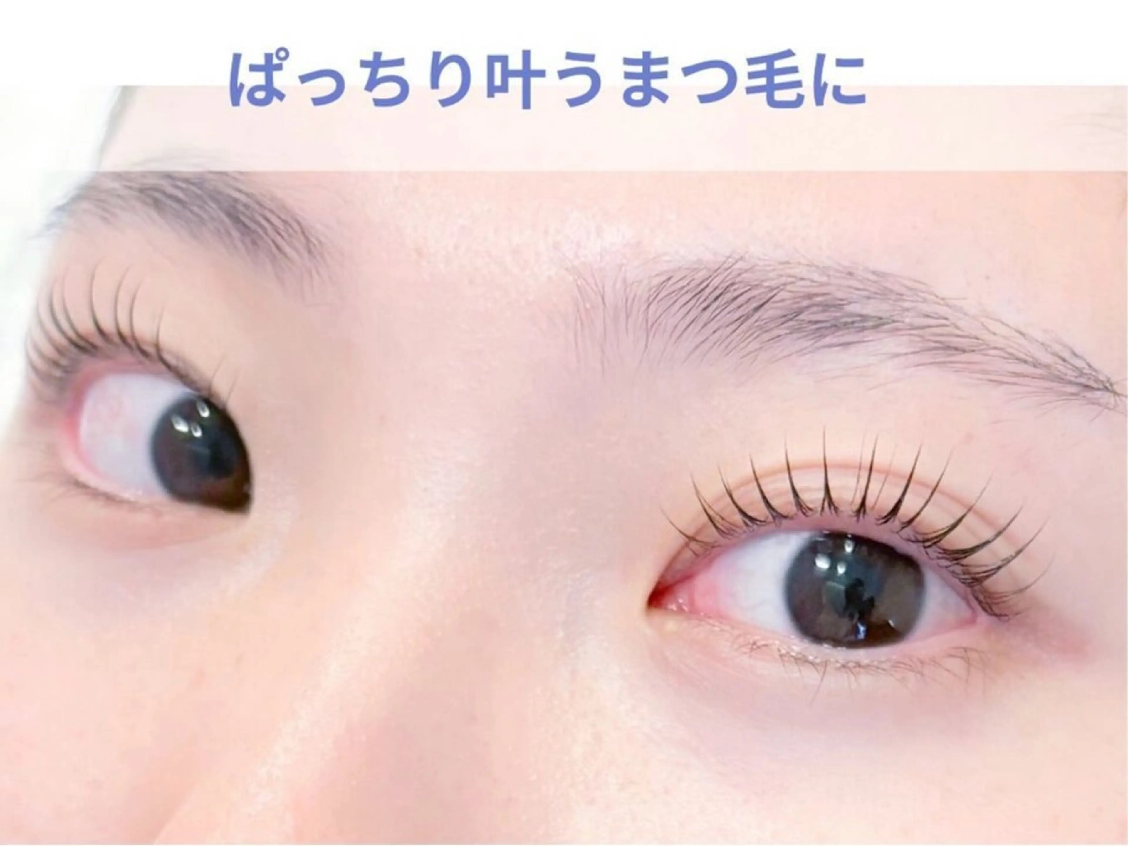 マツエク・マツパ 新小岩パリジェンヌ マツエク専門店のその他イメージ