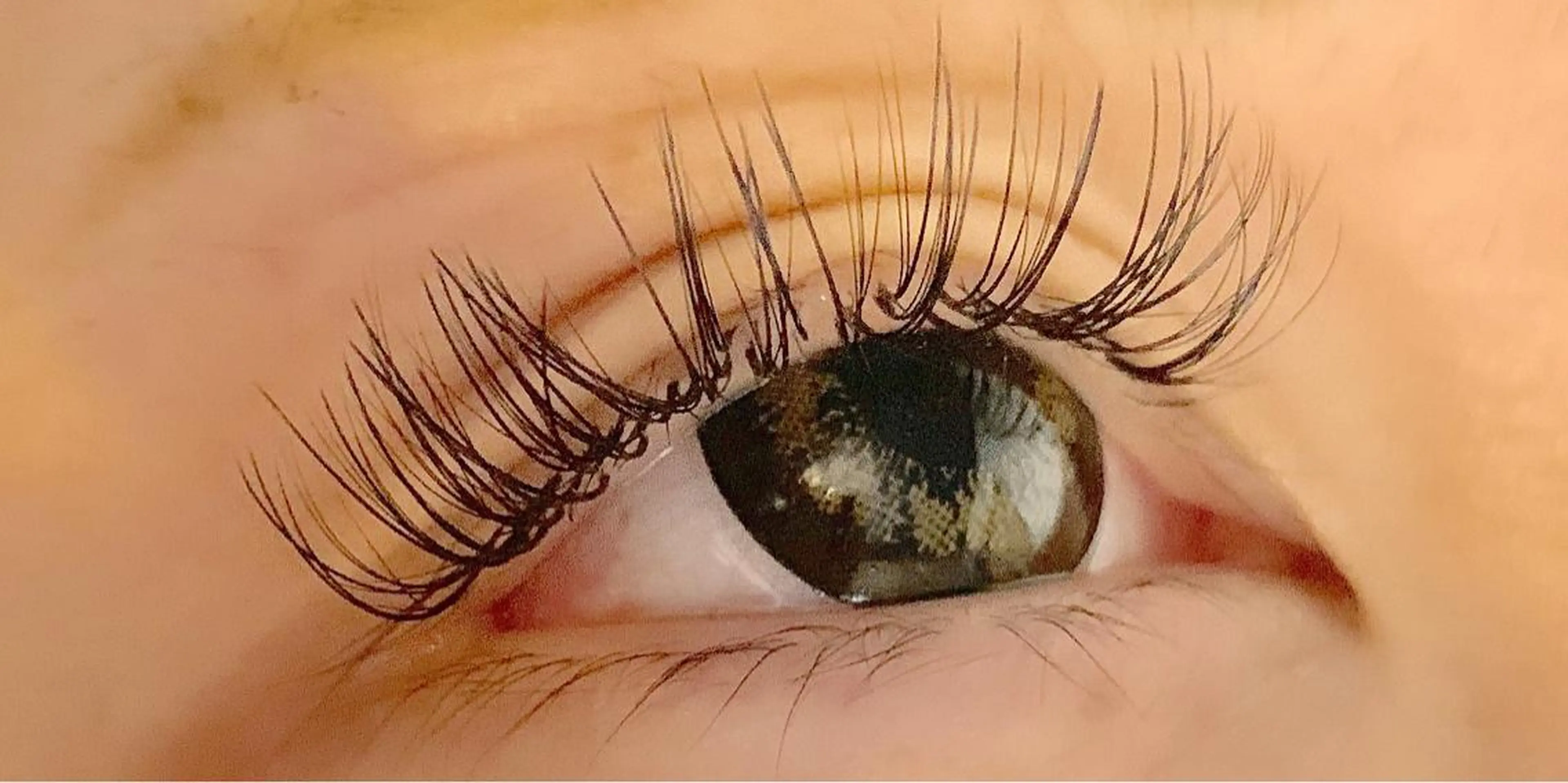 ใใใจใฏใปใใใ ๐๐๐๐๐ ๐๐๐๐ใฎใใใจใฏใปใใใใใถใคใณ