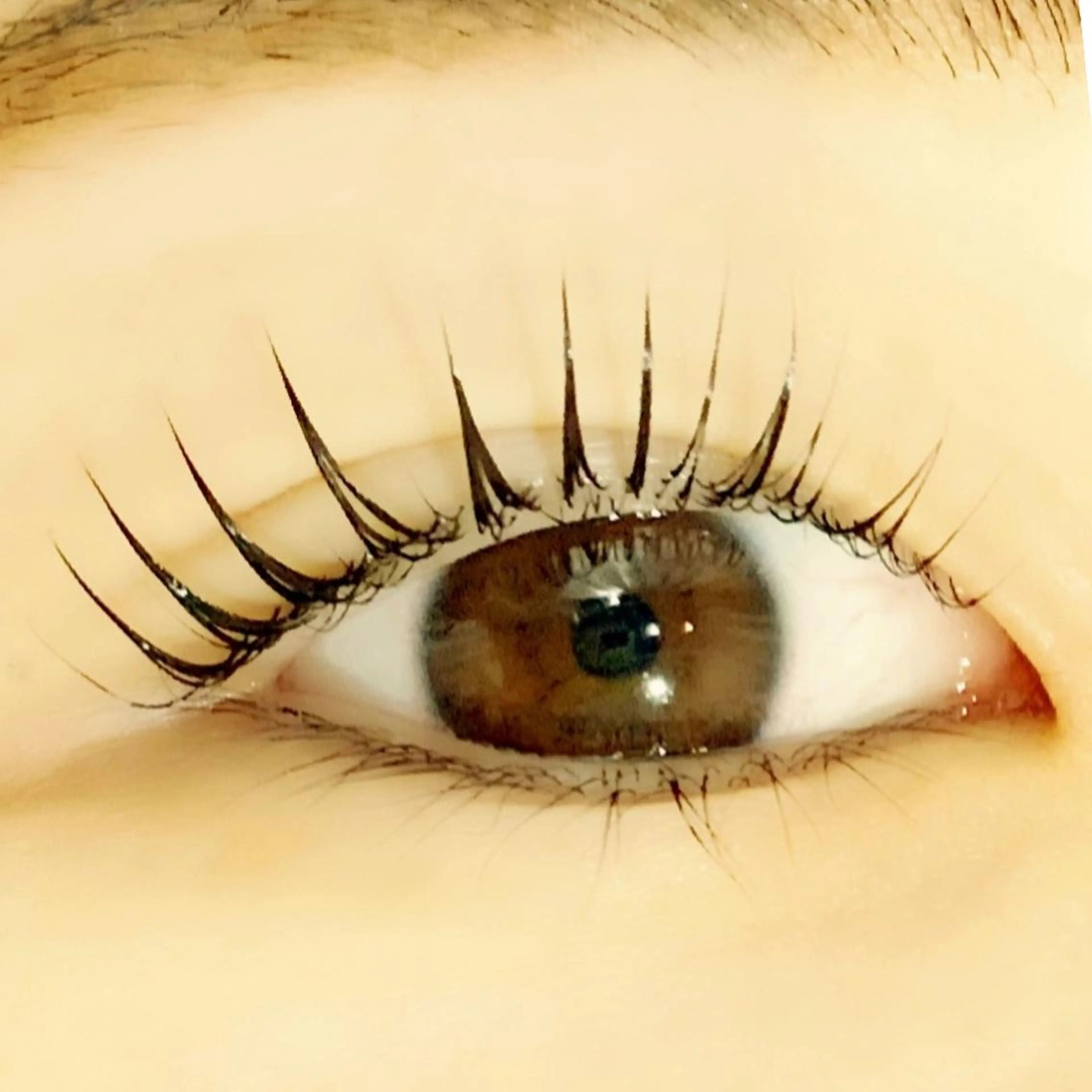 《まつ毛パーマ》💓カール or リフト✨トリートメント＋コーティング付き‼️の写真