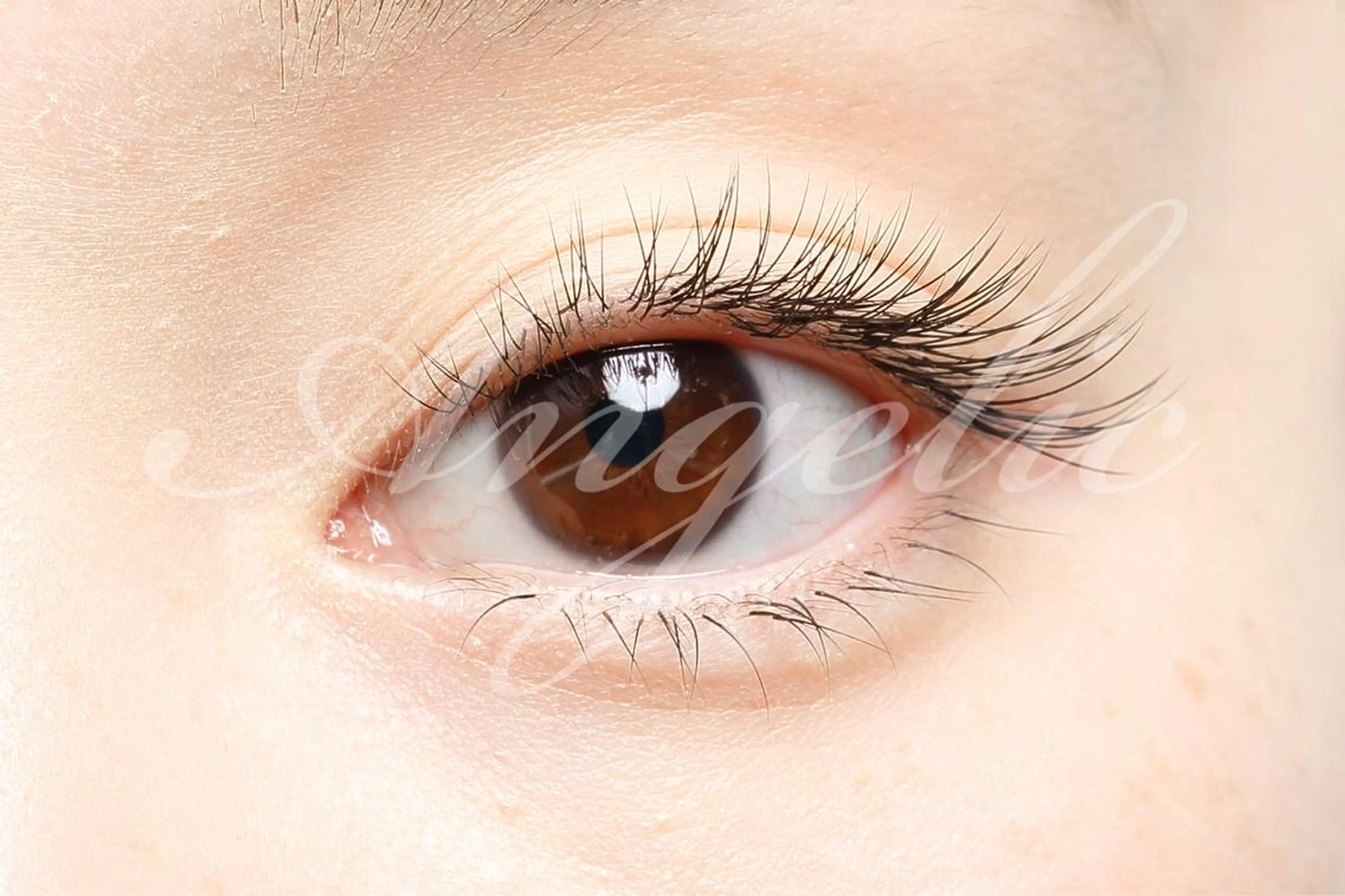 マツエク・マツパ セクシー マツエク・マツパ 募集のマツエク・マツパデザイン