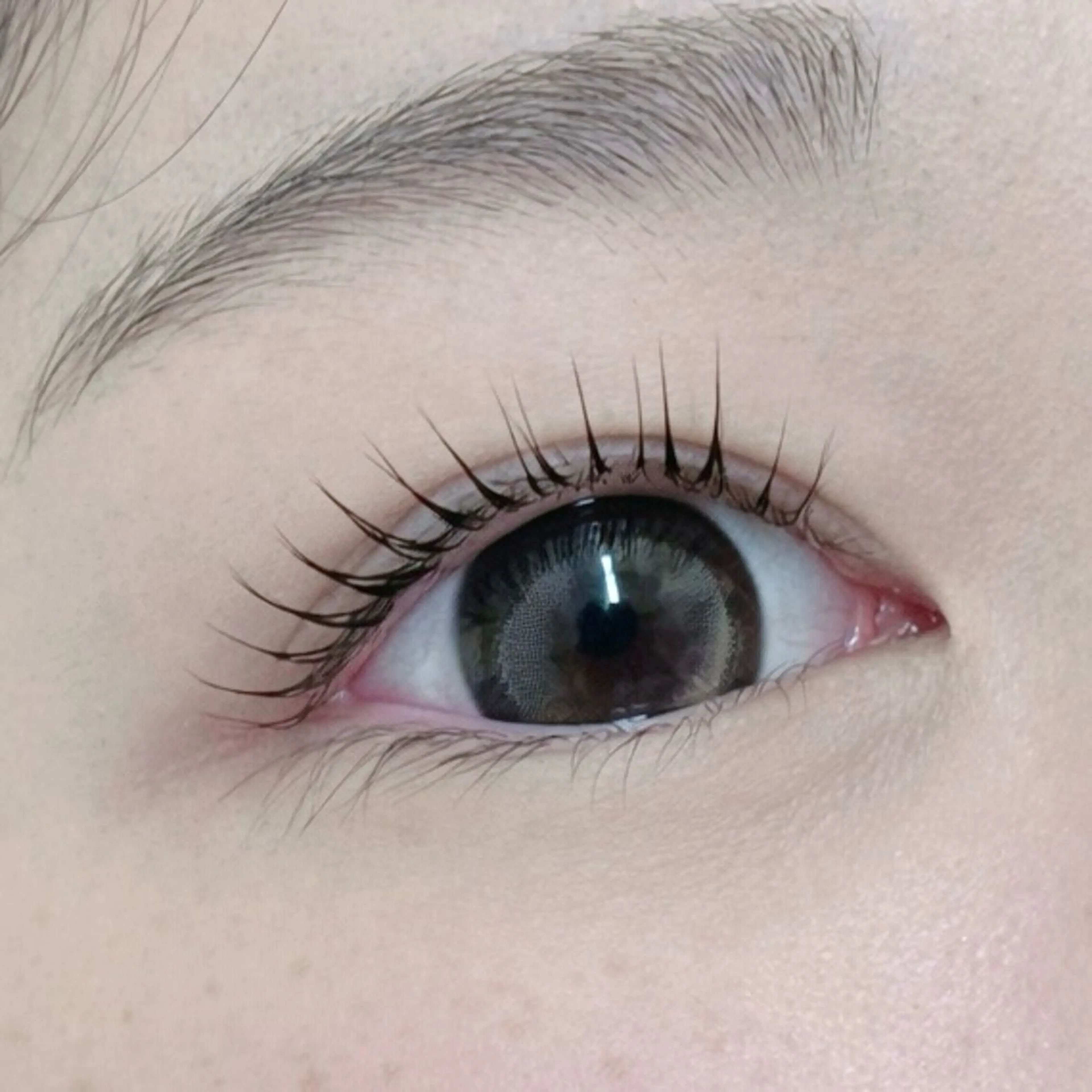 【2回目以降】まつげパーマ(上)の写真