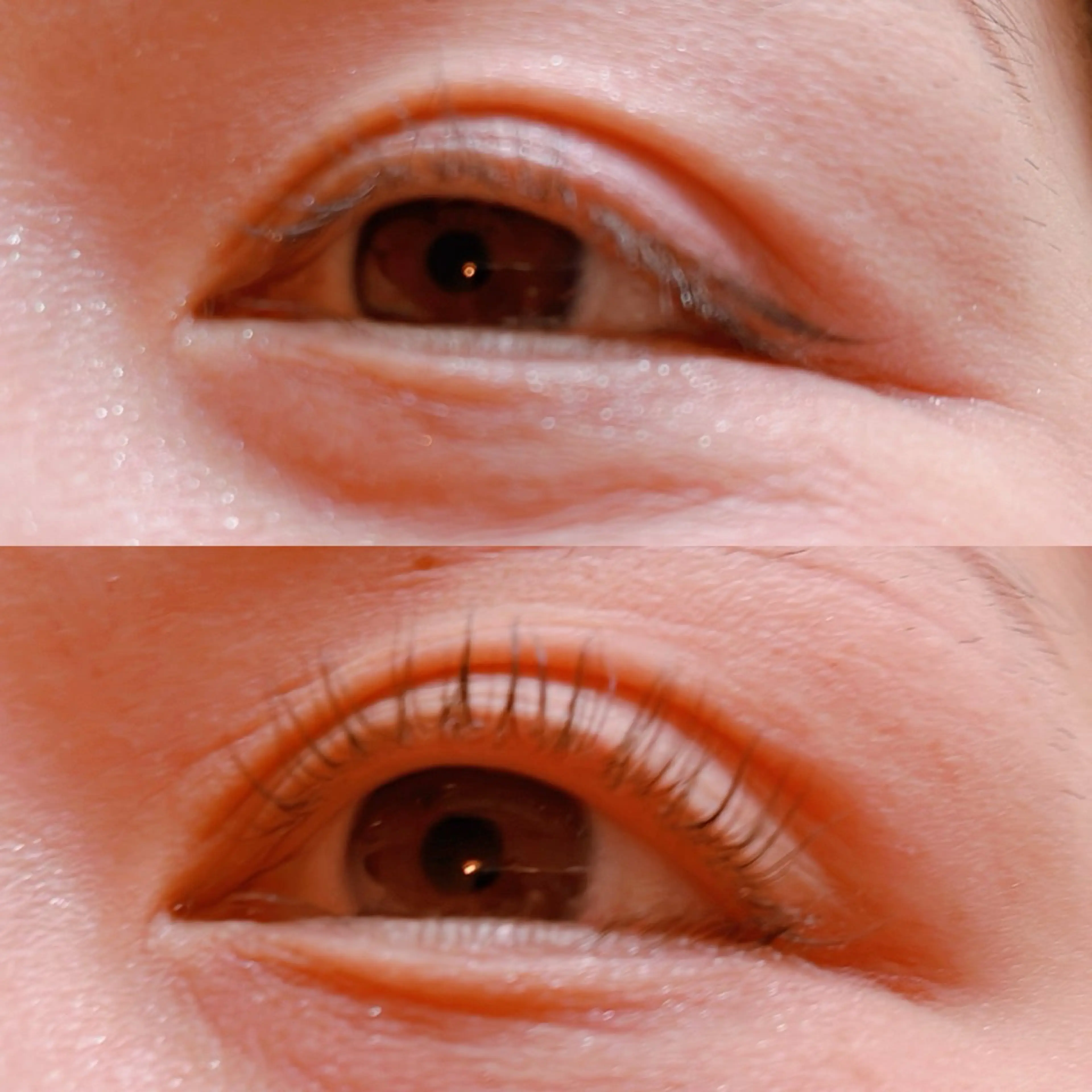 マツエク・マツパ 自まつ毛を大切にする まつ毛Ｐのマツエク・マツパデザイン