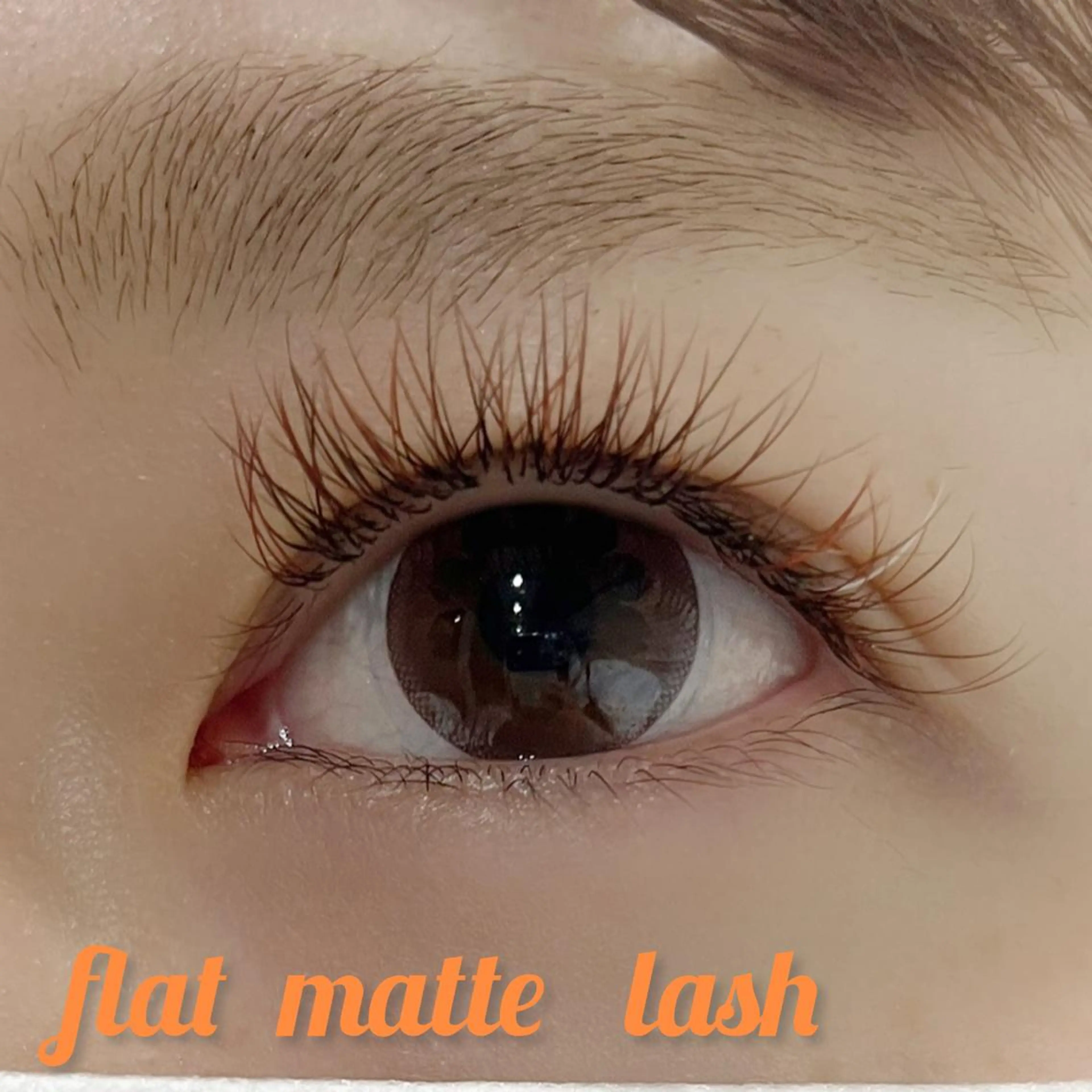 マツエク・マツパ マツエク Veil ayakaのマツエク・マツパデザイン