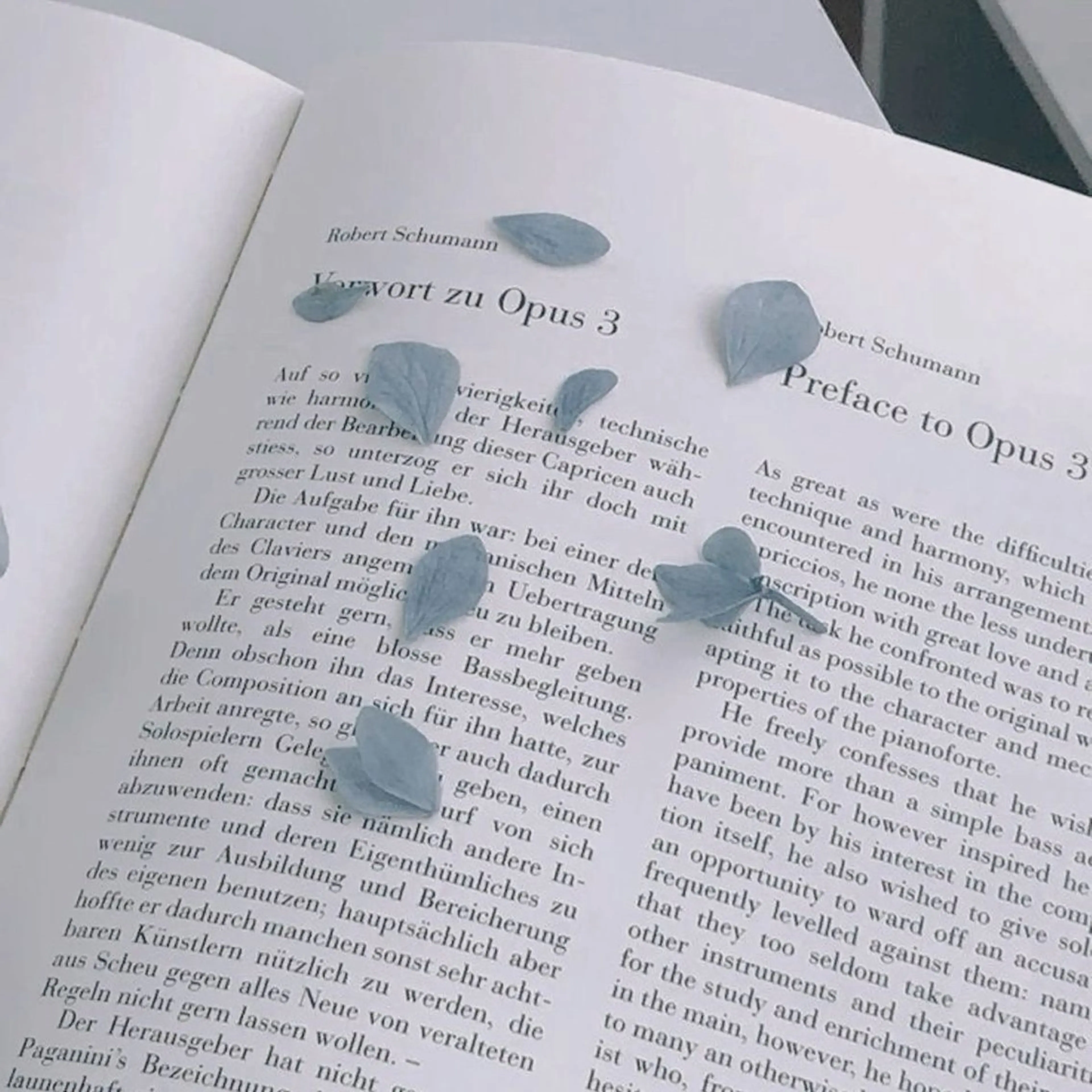 アイブロウ Silk by Bianca 柳🐕のマツエク・マツパデザイン