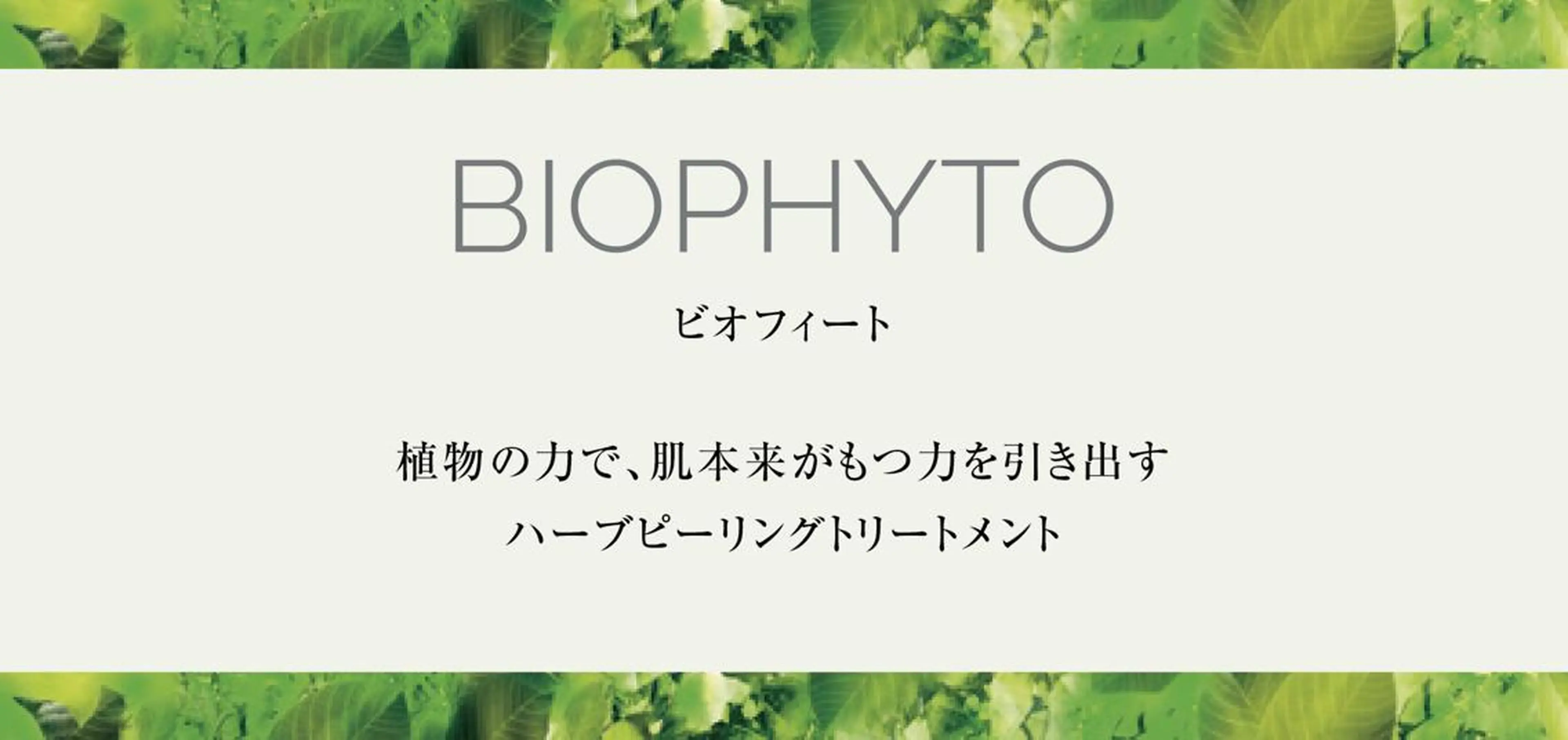 モデル•芸能人御用達ブランド【クリスティーナ】 ビオフィート🌿 デコルテ、リンパマッサージ付きの写真