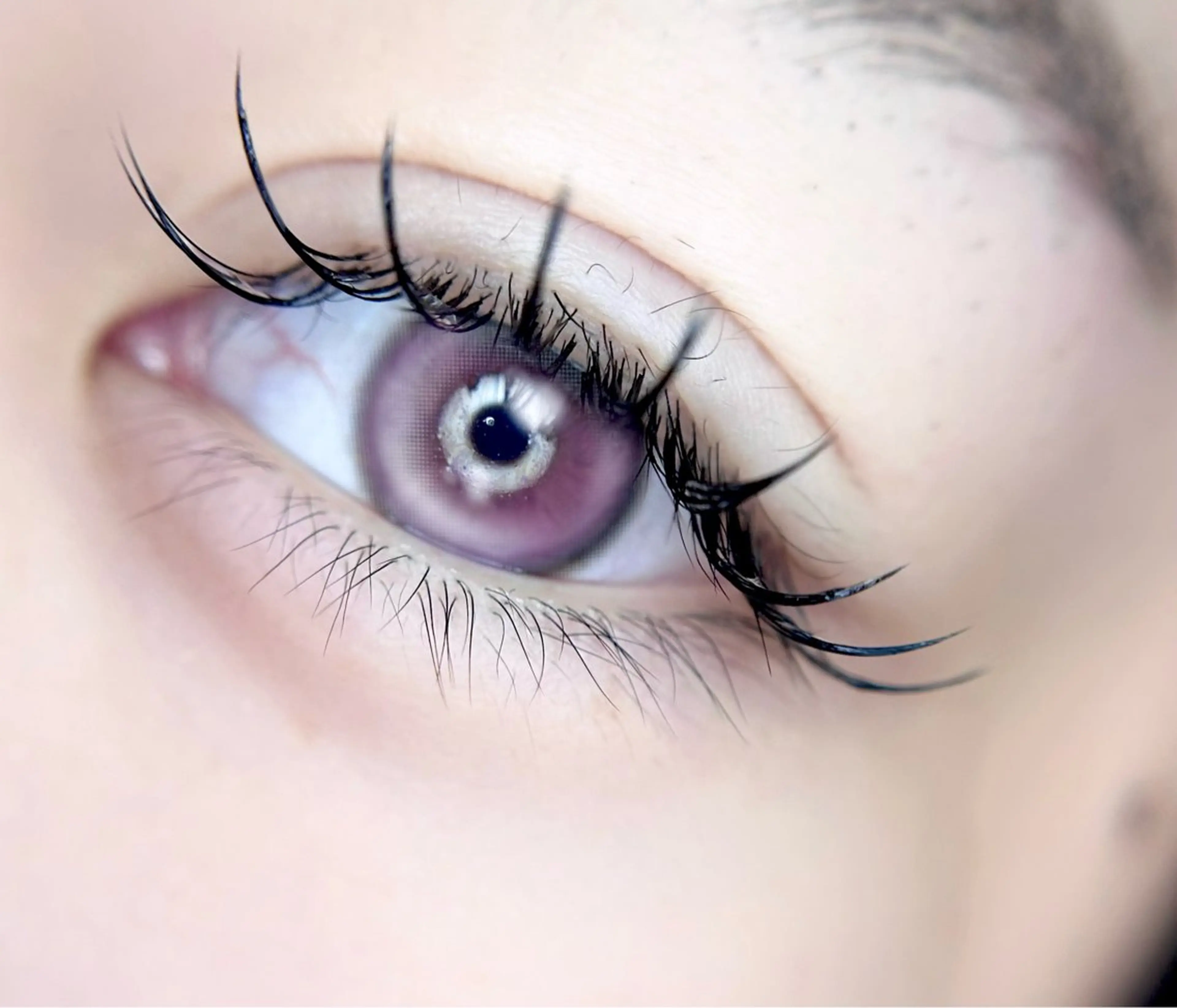 【オープン記念】LEDフラットラッシュ100本の写真