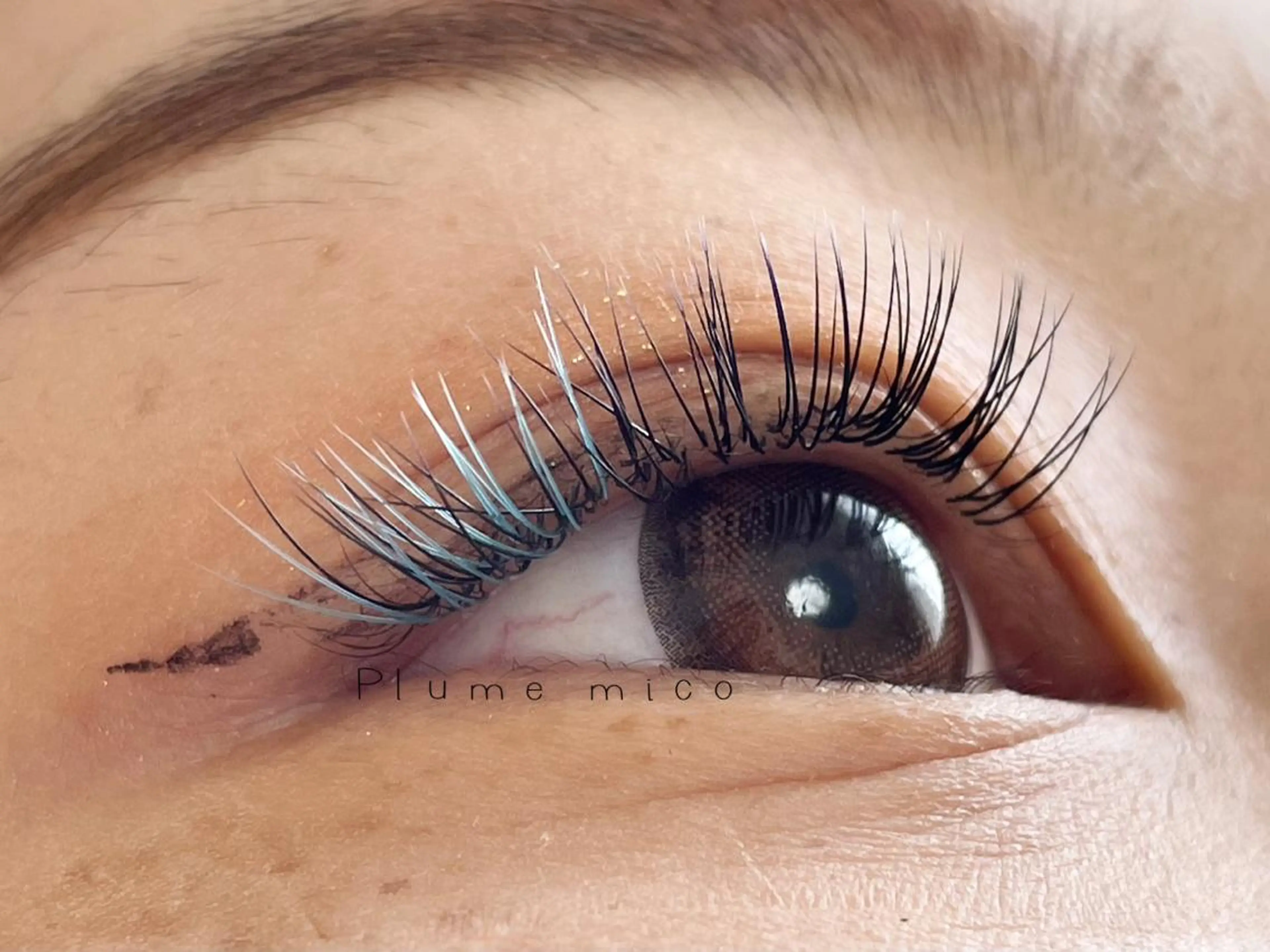 マツエク・マツパ マツエク Plume micoのマツエク・マツパデザイン