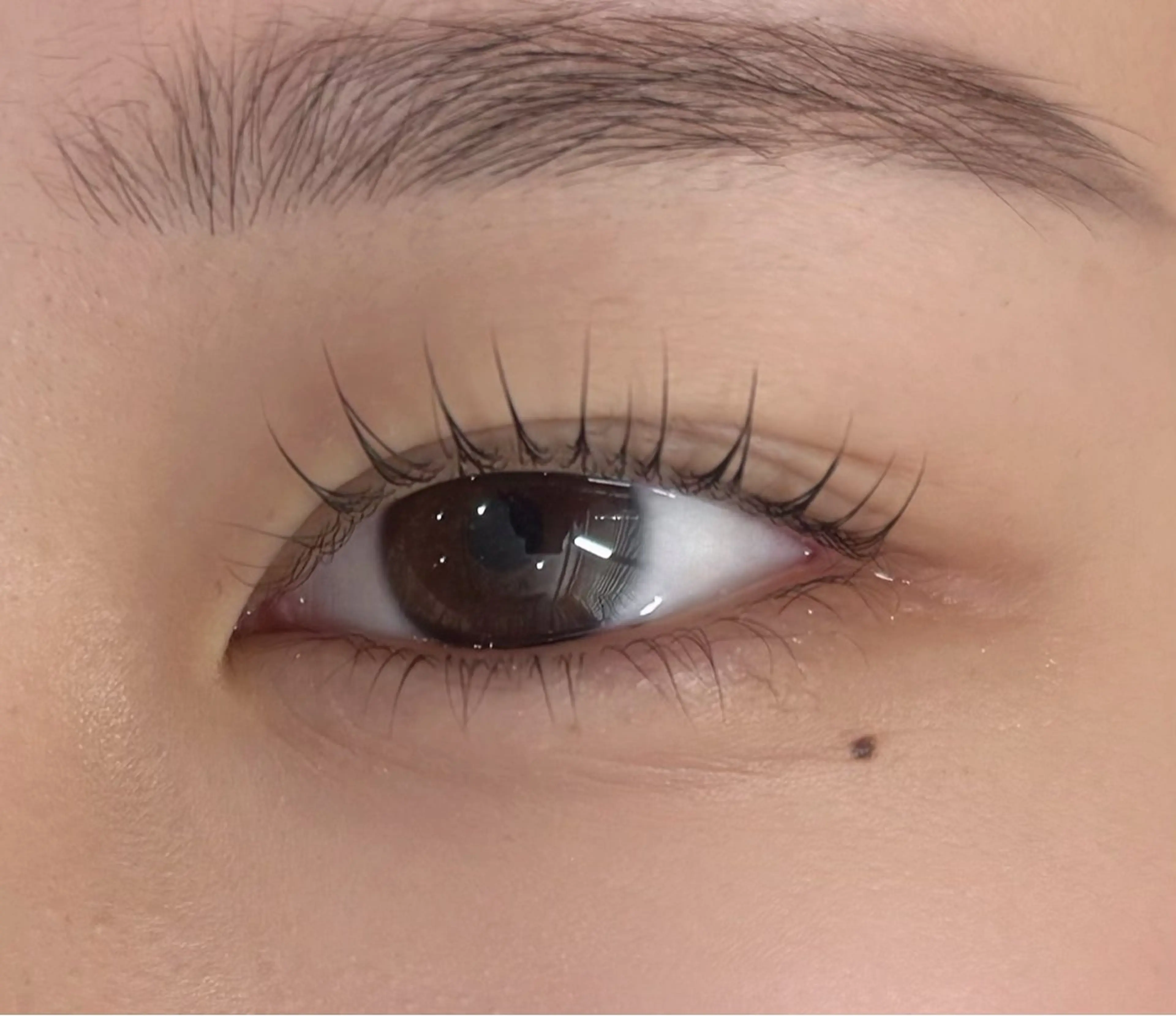 マツエク・マツパ ココラッシュ🤍 Hinakoのマツエク・マツパデザイン