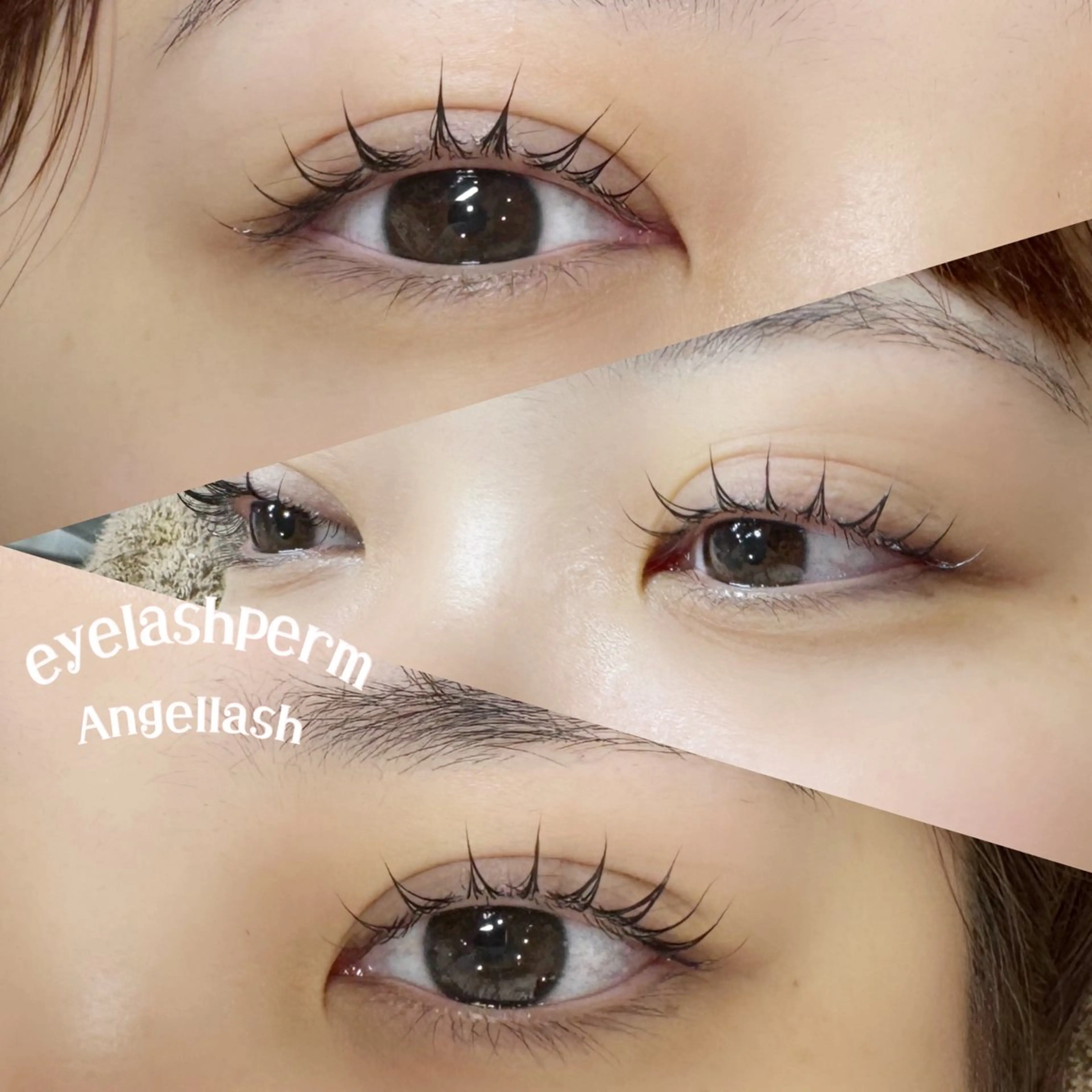 マツエク・マツパ 一重×まつ毛パーマ AngelLash所属・AngelLash Satoのマツエク・マツパデザイン