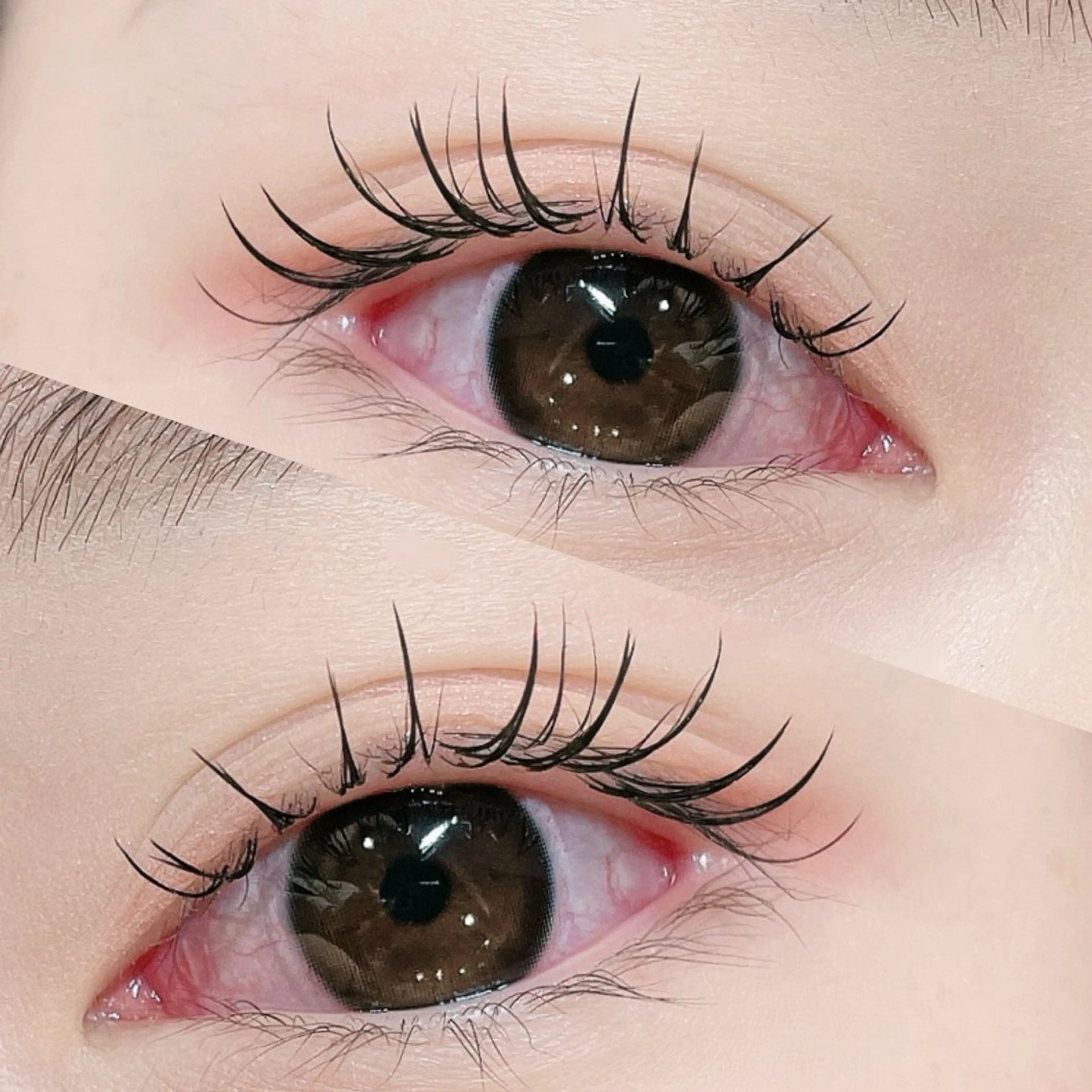 マツエク・マツパ バインドロック フラットラッシュ パリジェンヌラッシュリフト まつげパーマ 下まつげエクステ 🎀Lino 中目黒 TAKAMI🐈のマツエク・マツパデザイン