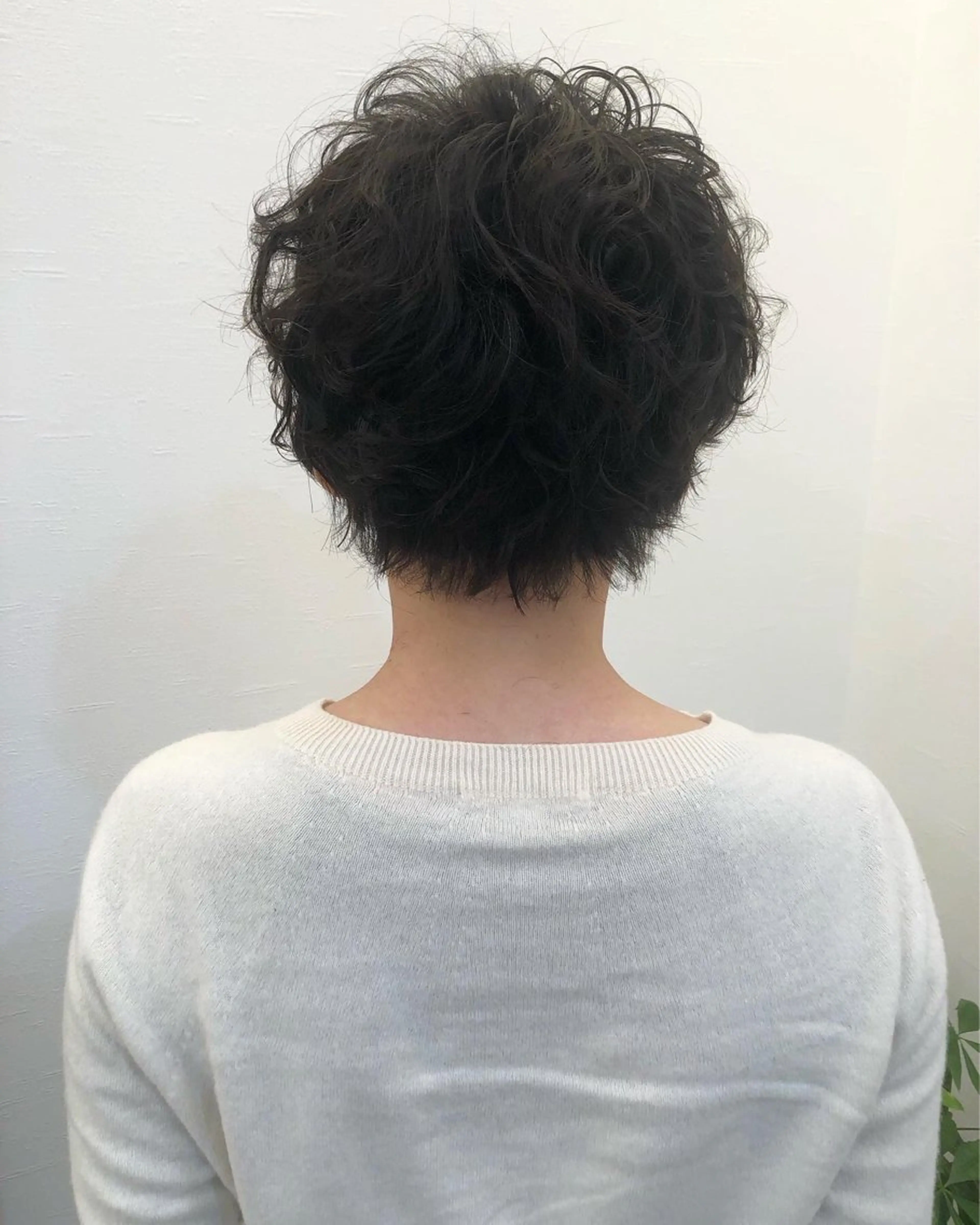 パーマ ツノガイ エリのヘアスタイル