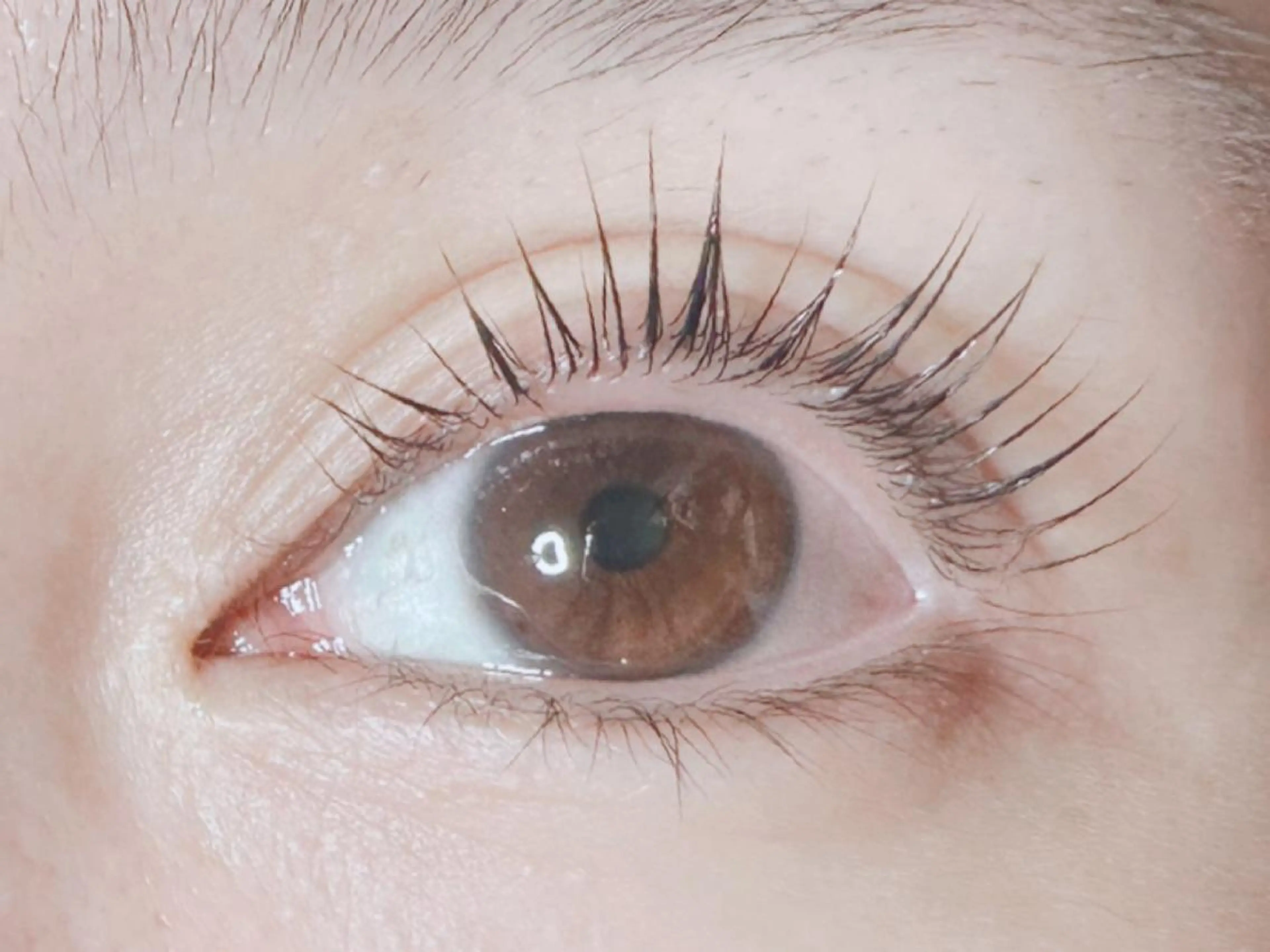 マツエク・マツパ パリジェンヌラッシュリフト 𝐉𝐎𝐋𝐈 アイリスト ❤︎のマツエク・マツパデザイン