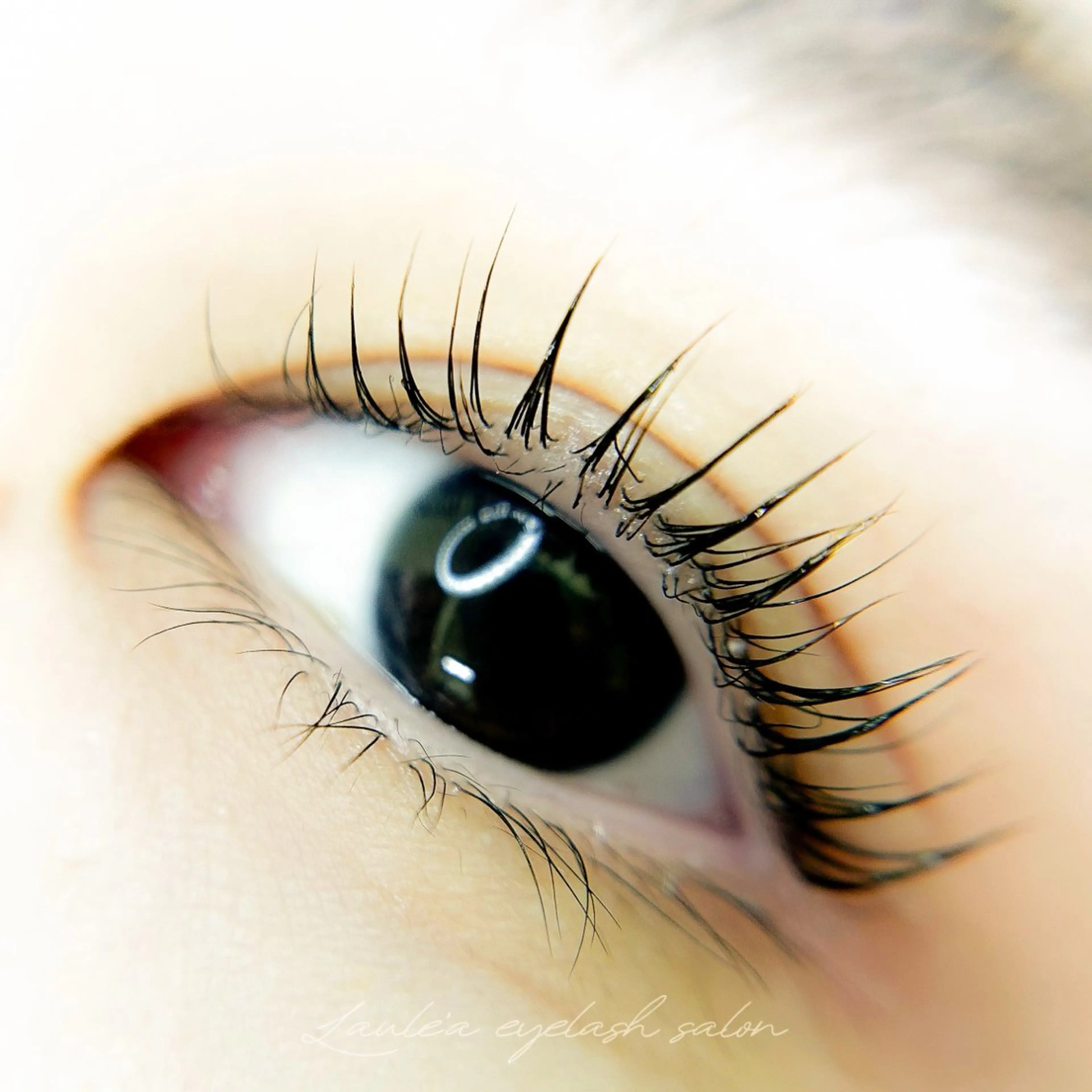 マツエク・マツパ パリジェンヌラッシュリフト Laule'a eyelash salon所属・Laule'a ラウレアのマツエク・マツパデザイン