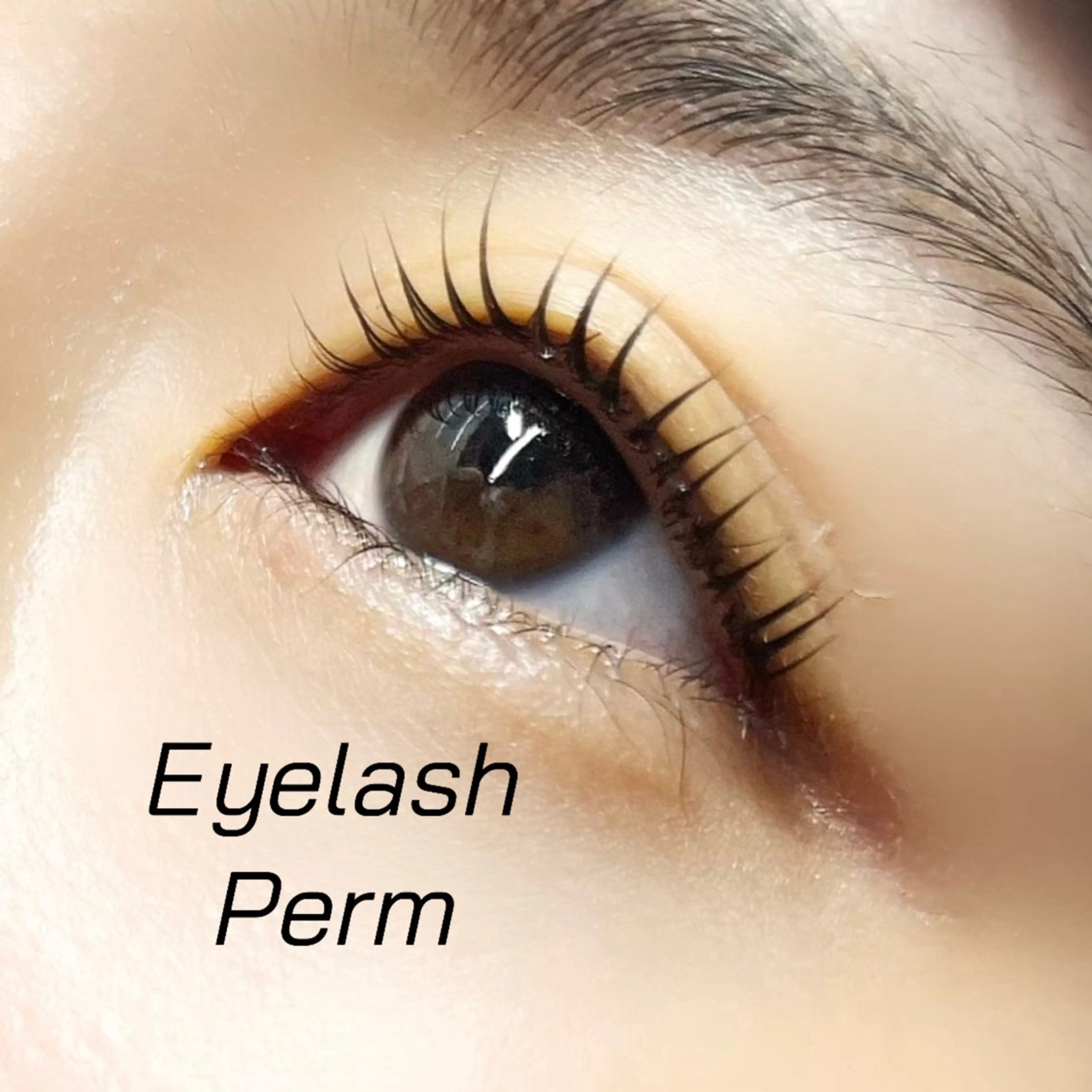 マツエク・マツパ 一重×まつ毛パーマ iolo Yabumotoのマツエク・マツパデザイン