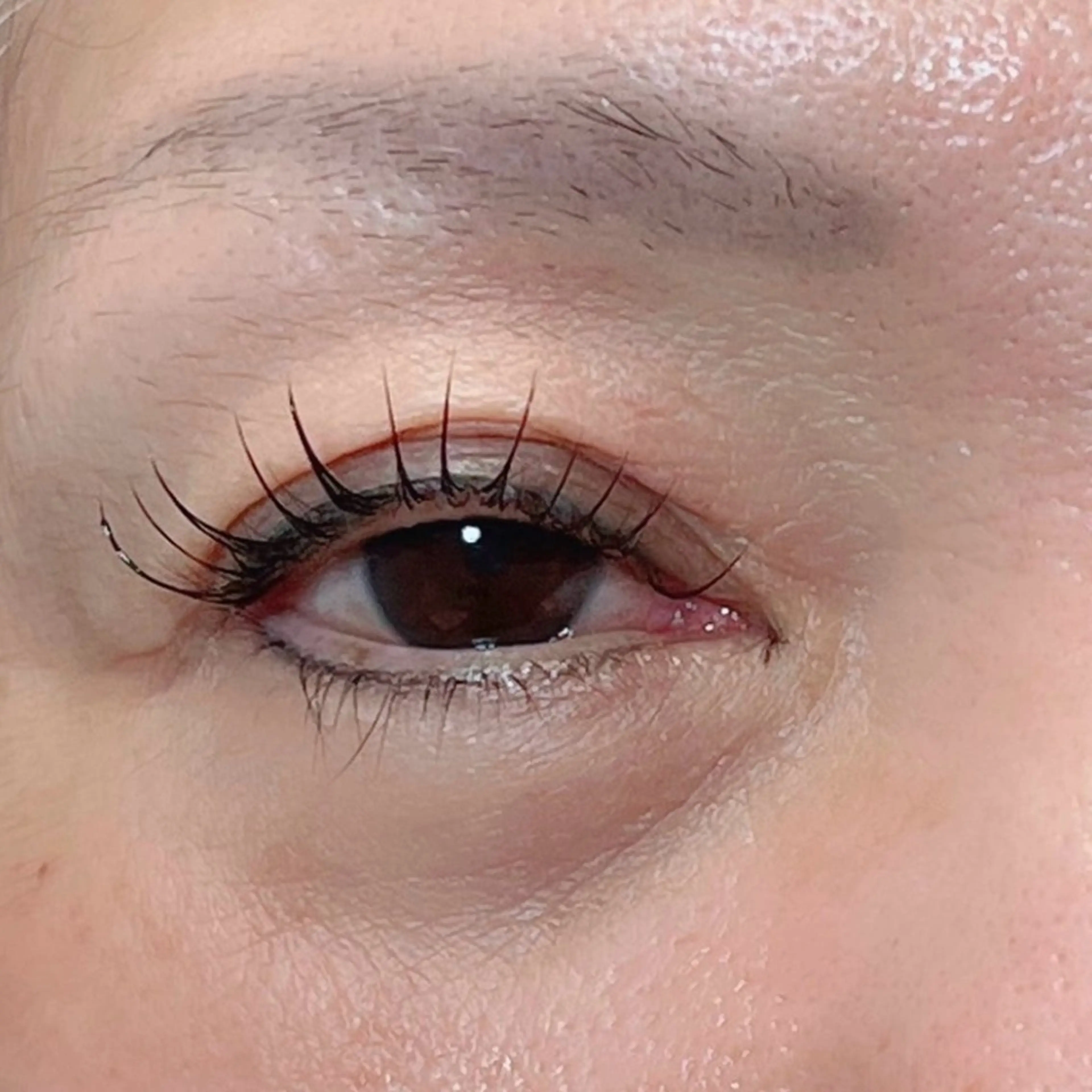 マツエク・マツパ マツエク toiro 鎌取のマツエク・マツパデザイン