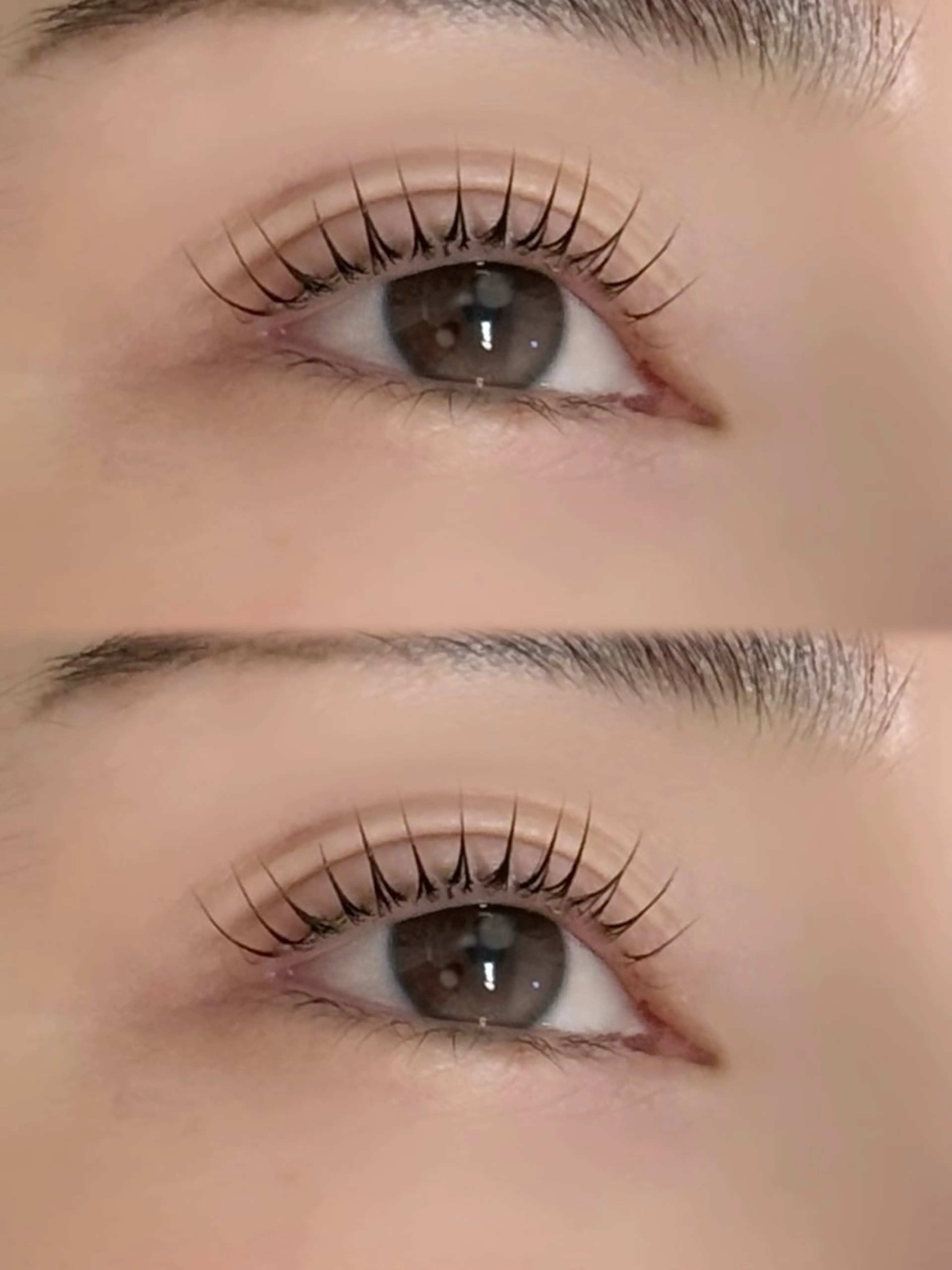 ⚠️平日限定！まつ毛パーマ➕アイシャンプー/ケラチントリートメントの写真