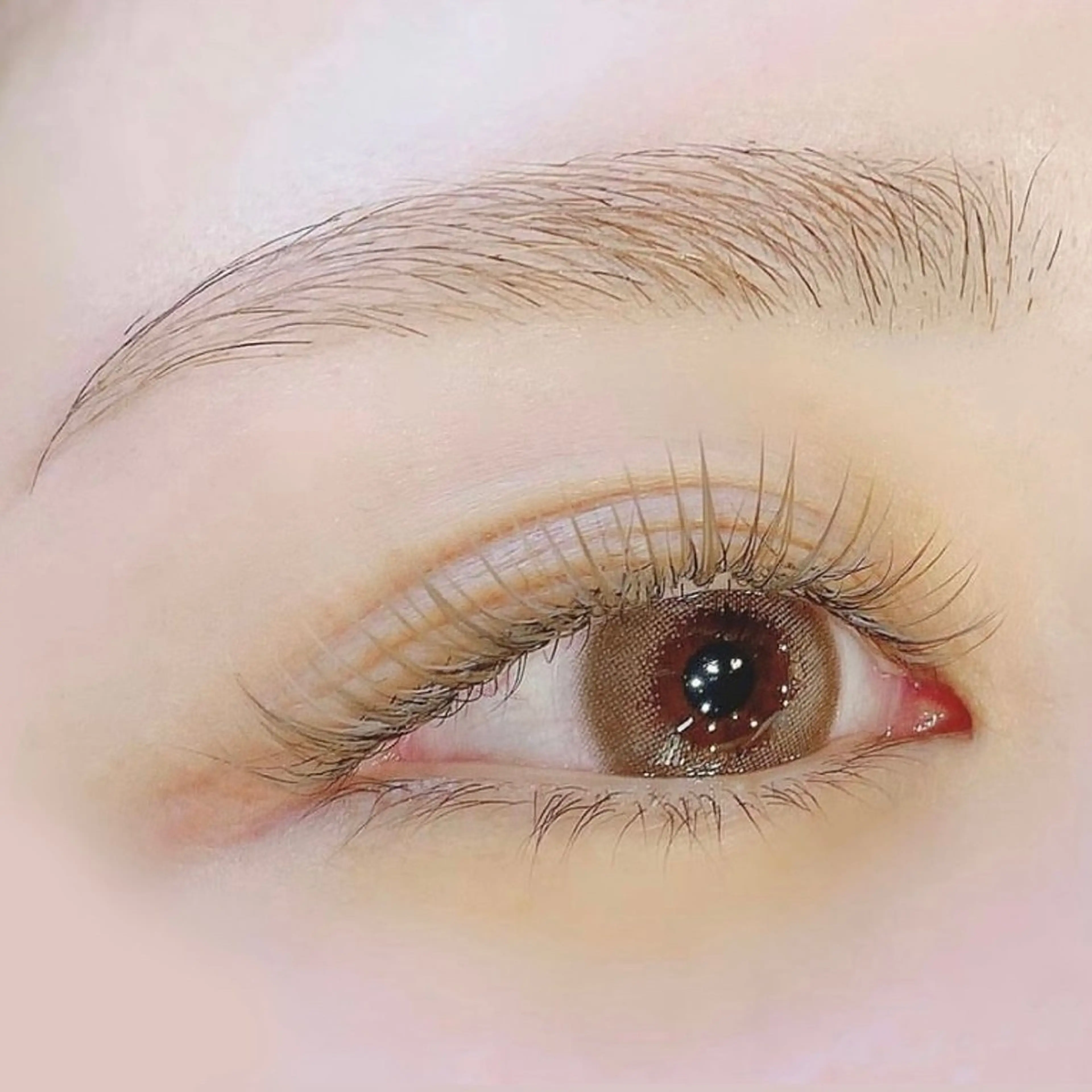 ご新規限定《黄金比×トレンド眉》美眉スタイリング[間引きあり] ¥5080→4480の写真