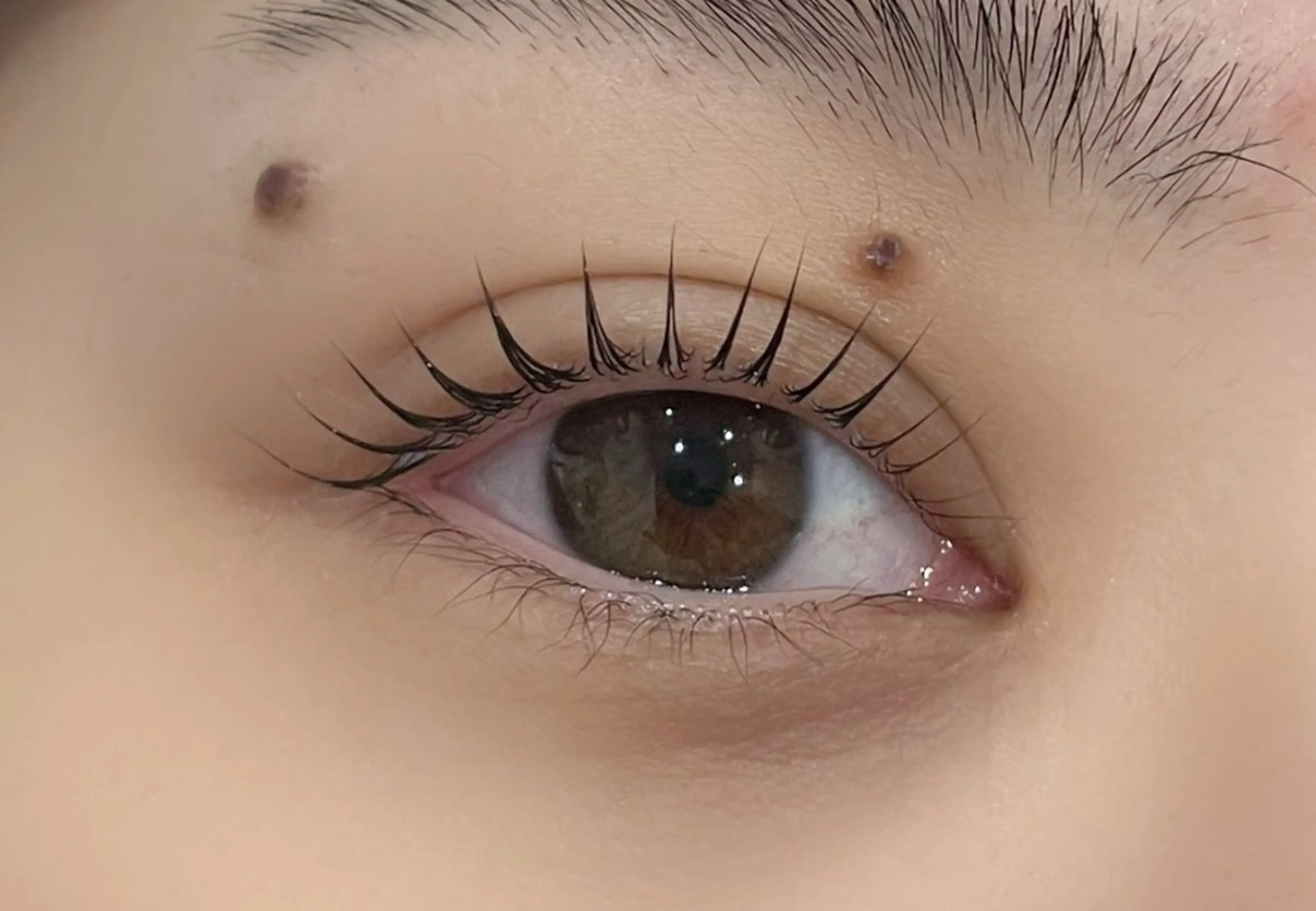 マツエク・マツパ マツパ まつげパーマ専門店 くるり🎀赤澤🎀の眉毛・アイブロウイメージ