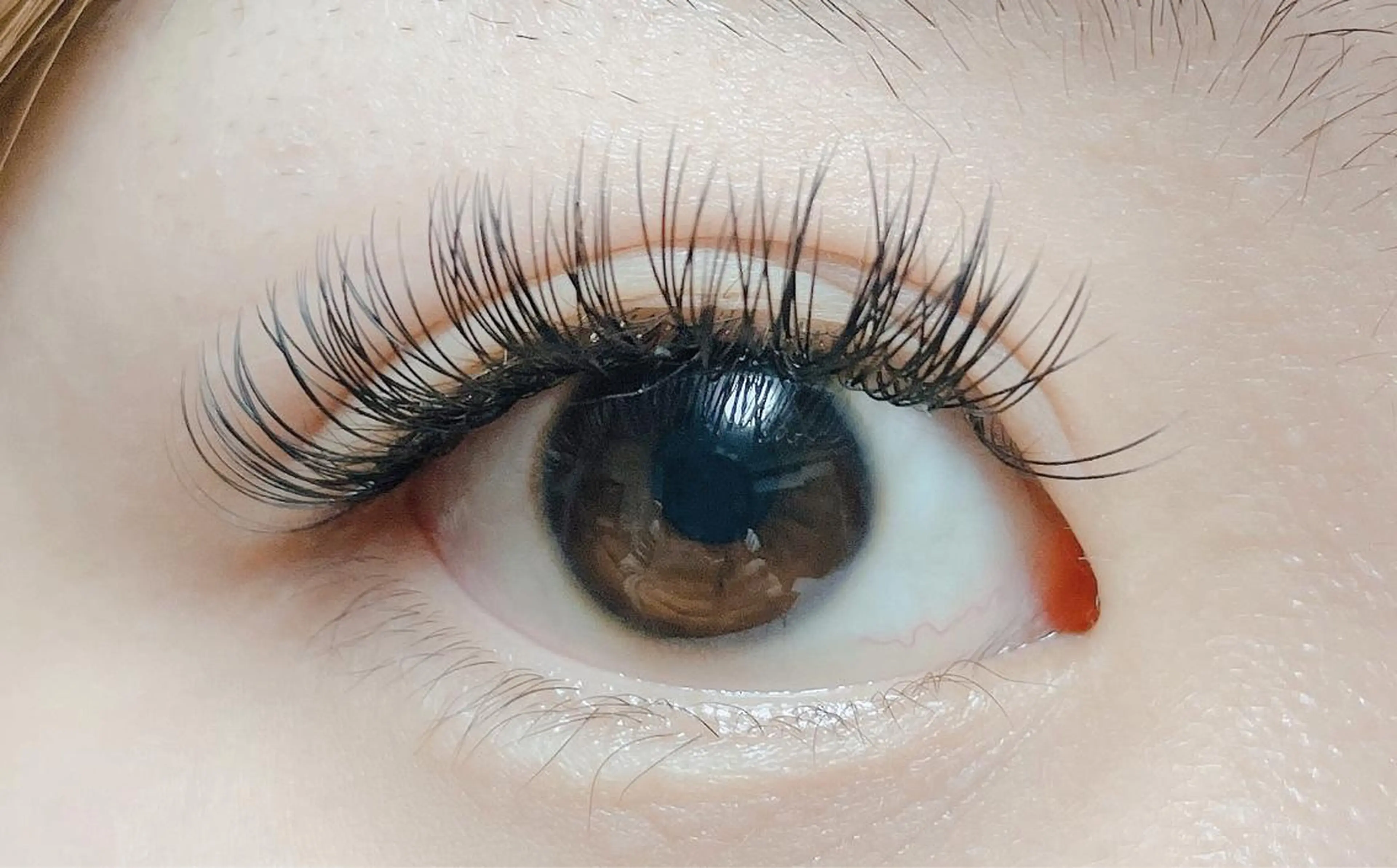 マツエク・マツパ Dカール ナチュラル 🍀fleur🍀 束感/ワンホン/杉浦のマツエク・マツパデザイン