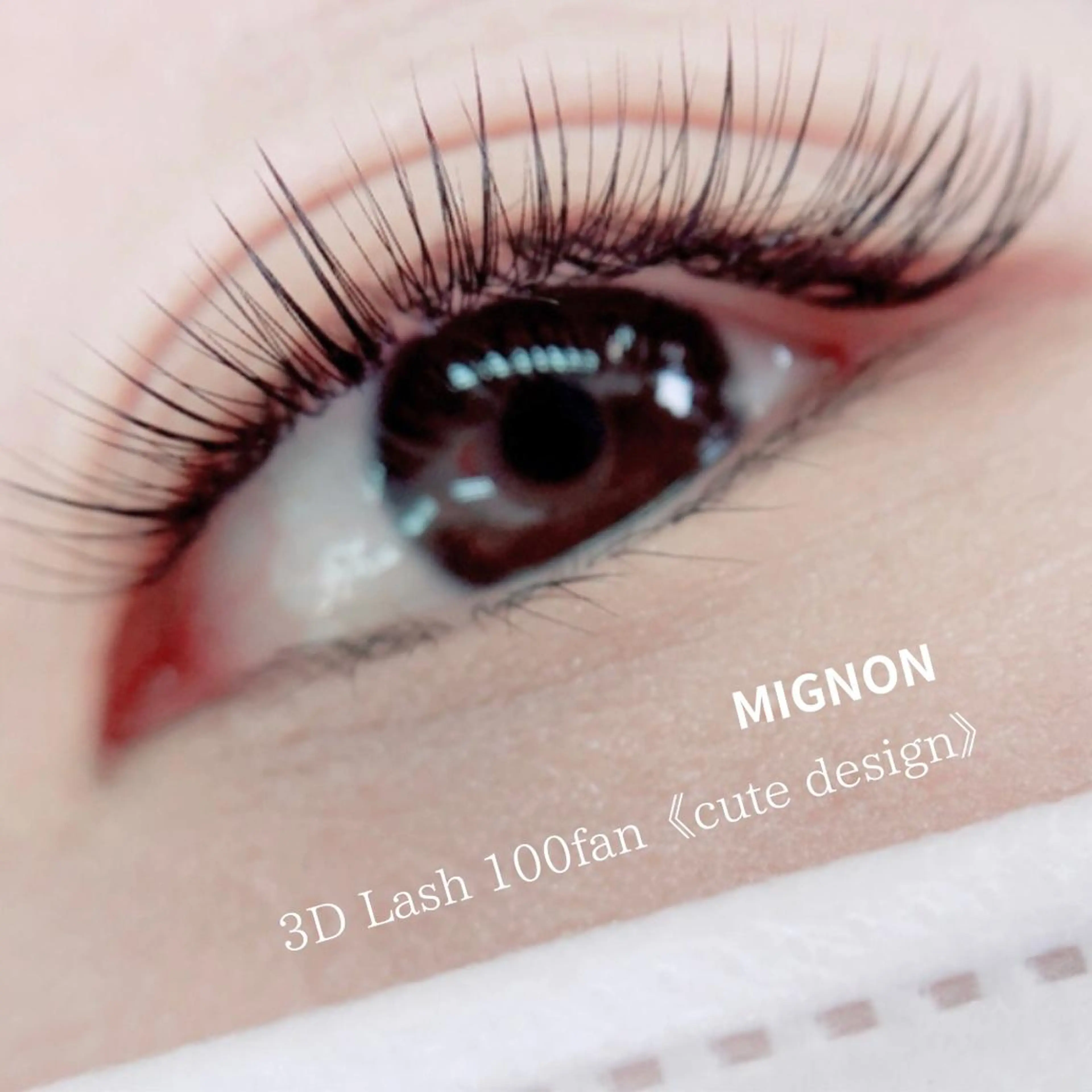 マツエク・マツパ マツエク MIGNON 冨田　当日予約のみのマツエク・マツパデザイン